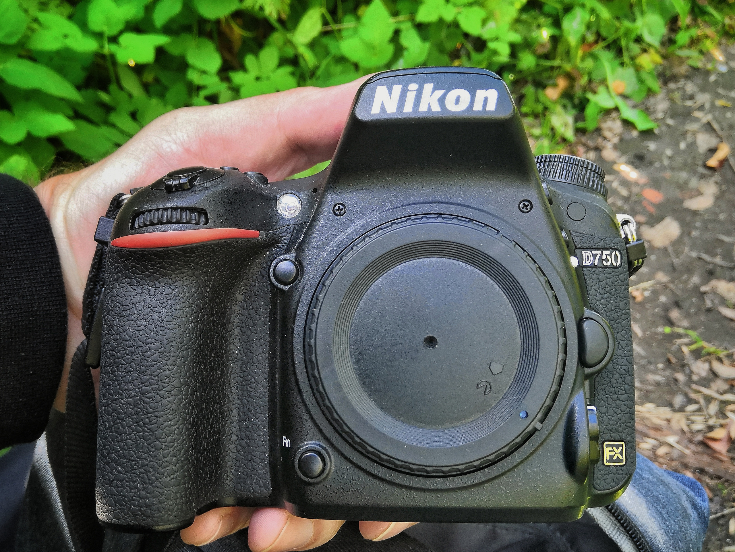 Пинхол или как снимать без объектива. То ещё портфолио