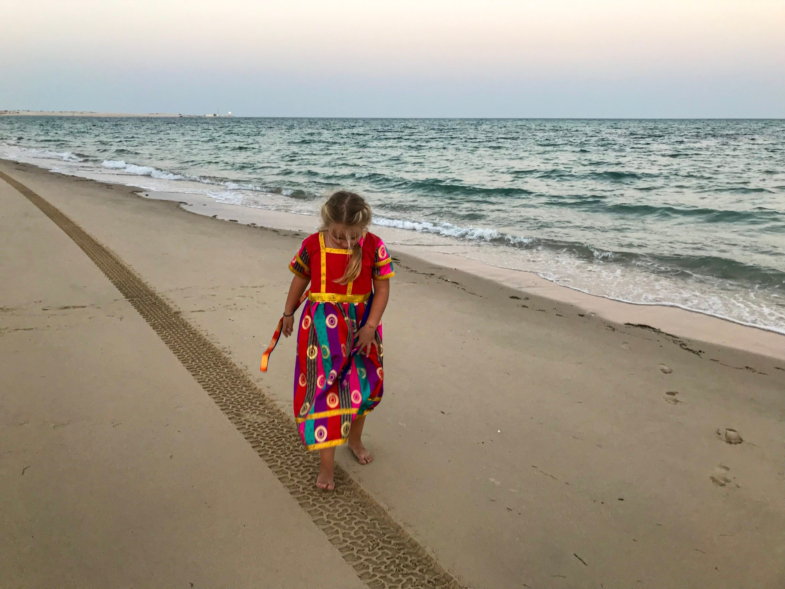 Заметки Алешки-путешественника. Катар. Ева Демидова. Спортсмен по конкуру в Санкт-Петербуре