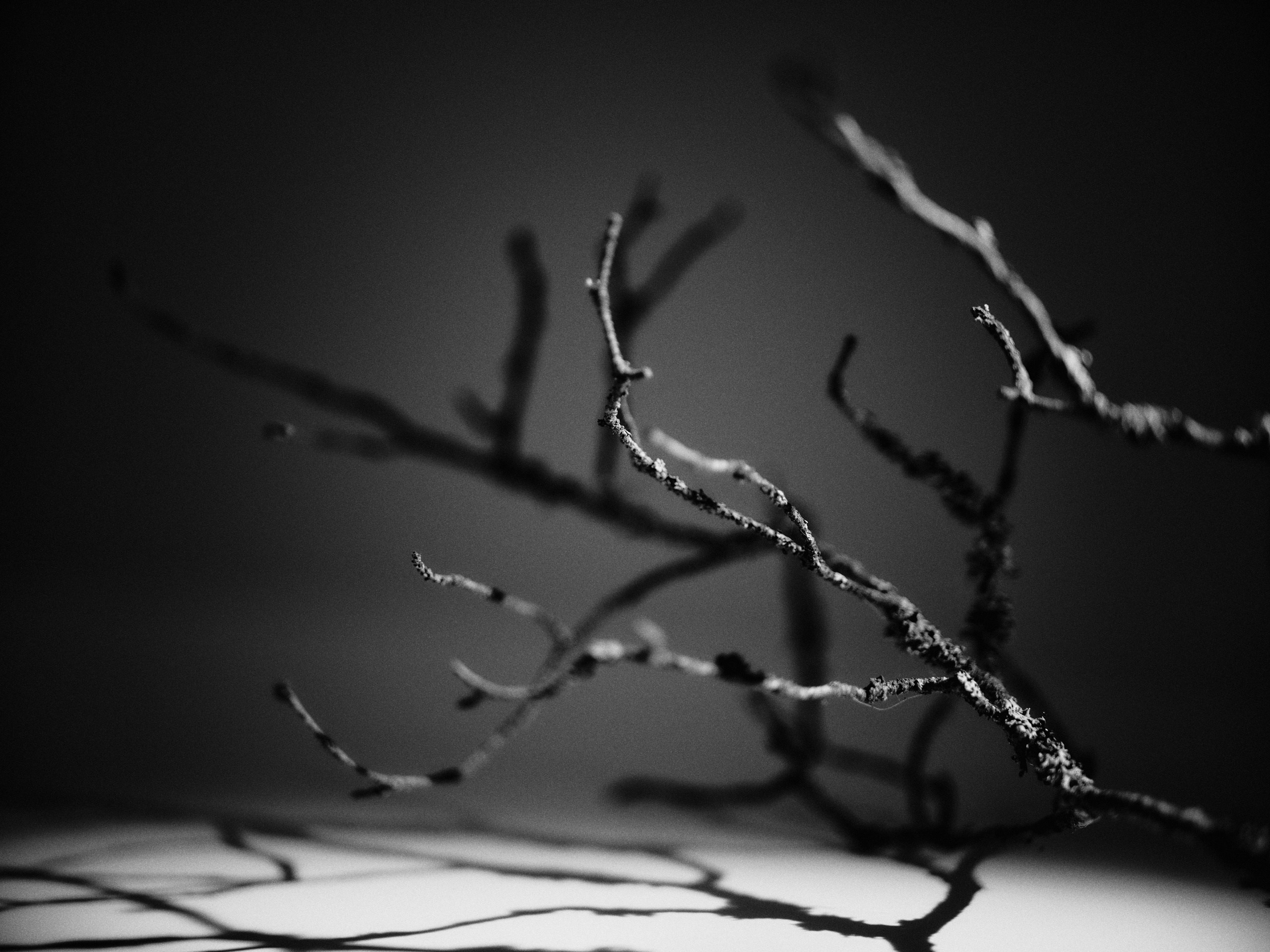 Юля. Белякова Кристина — репортажный и портретный фотограф в Твери