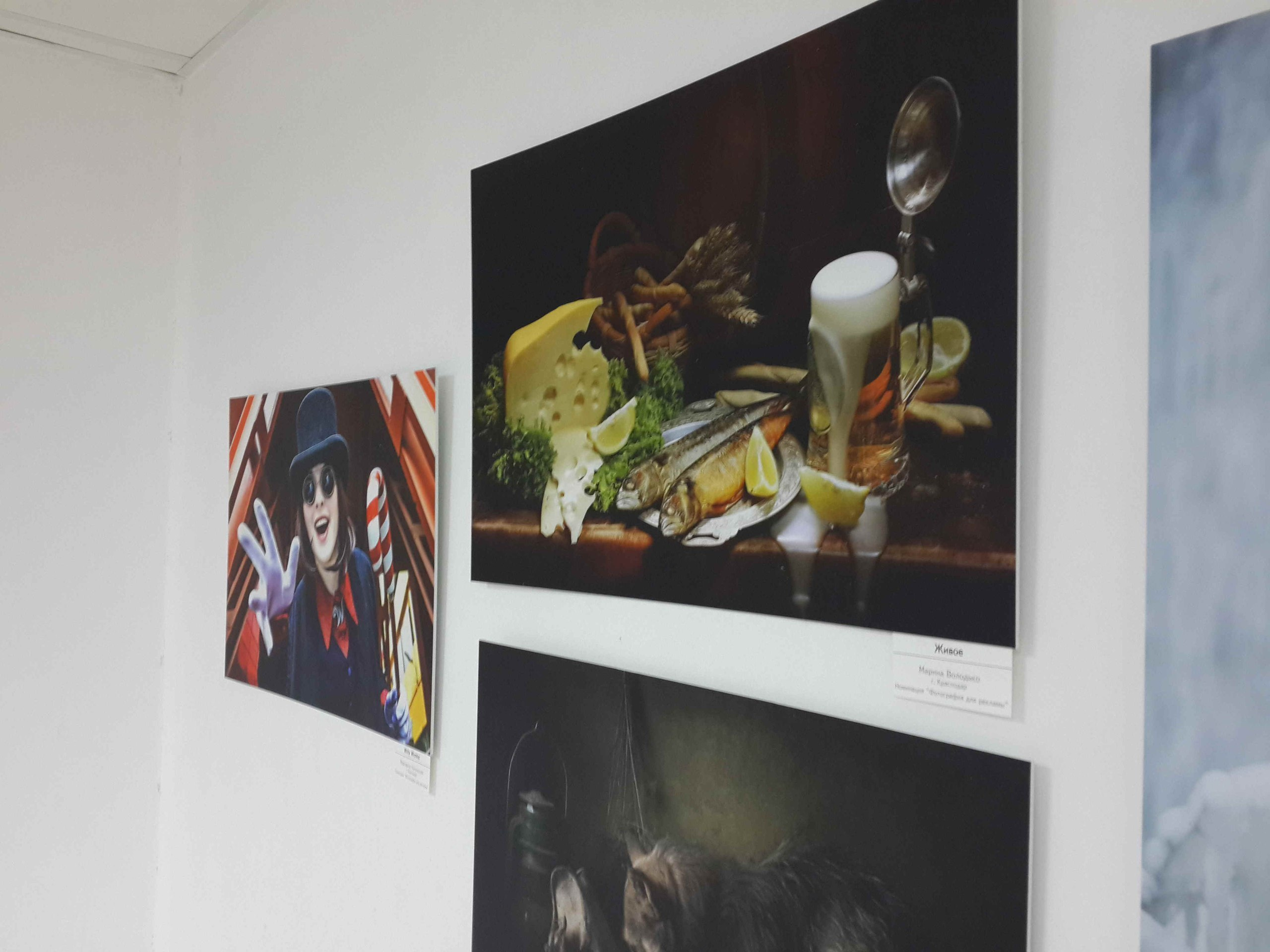 Photo exhibition to them. Dmitry Morozov. Photographer Andrew Vasiliev