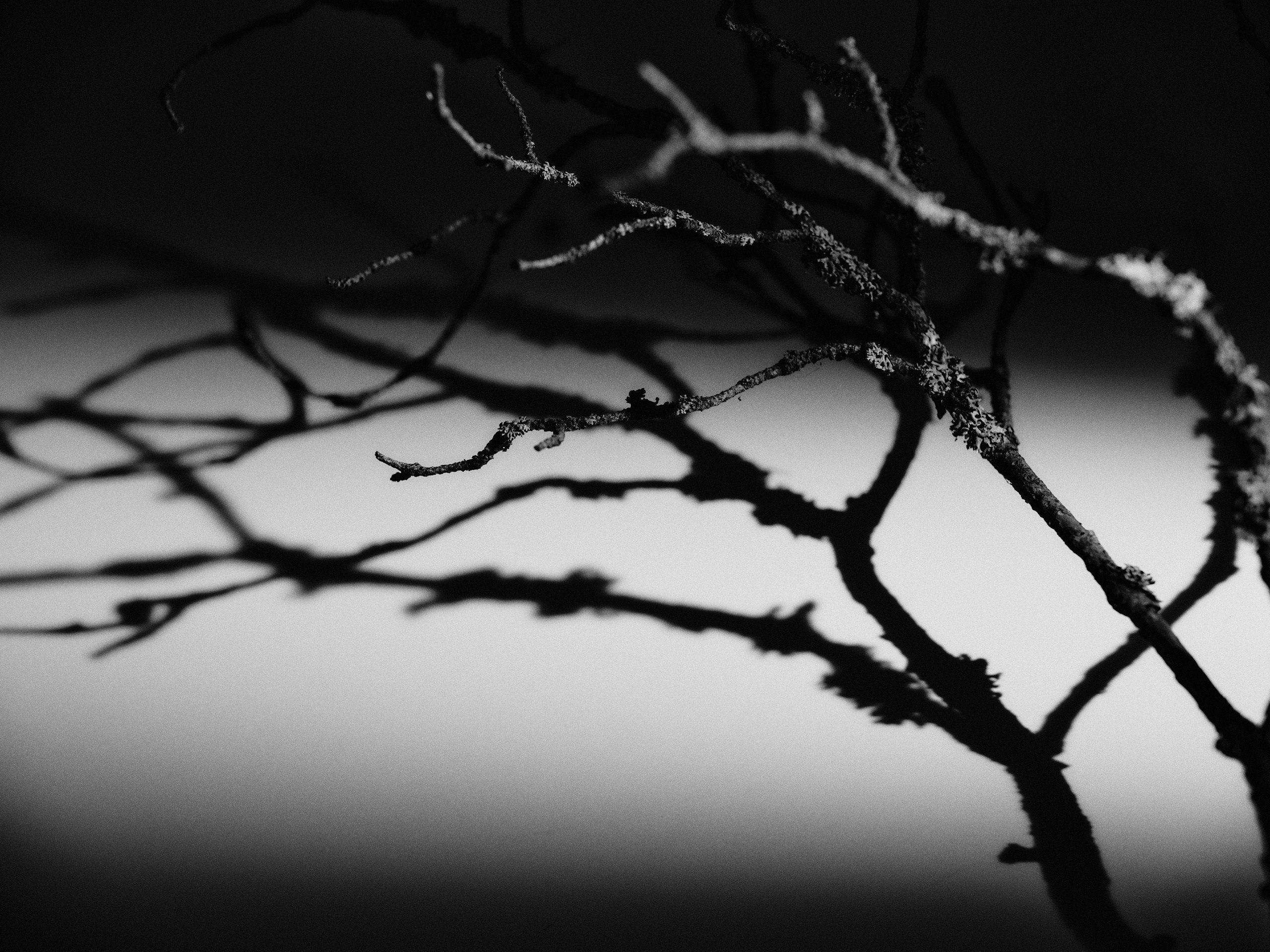 Юля. Белякова Кристина — репортажный и портретный фотограф в Твери