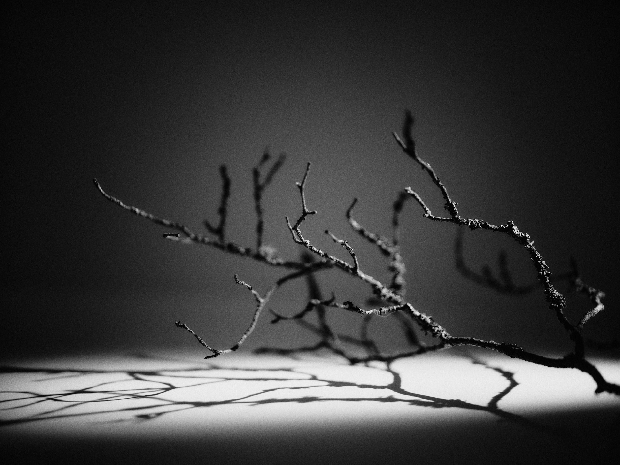 Юля. Белякова Кристина — репортажный и портретный фотограф в Твери