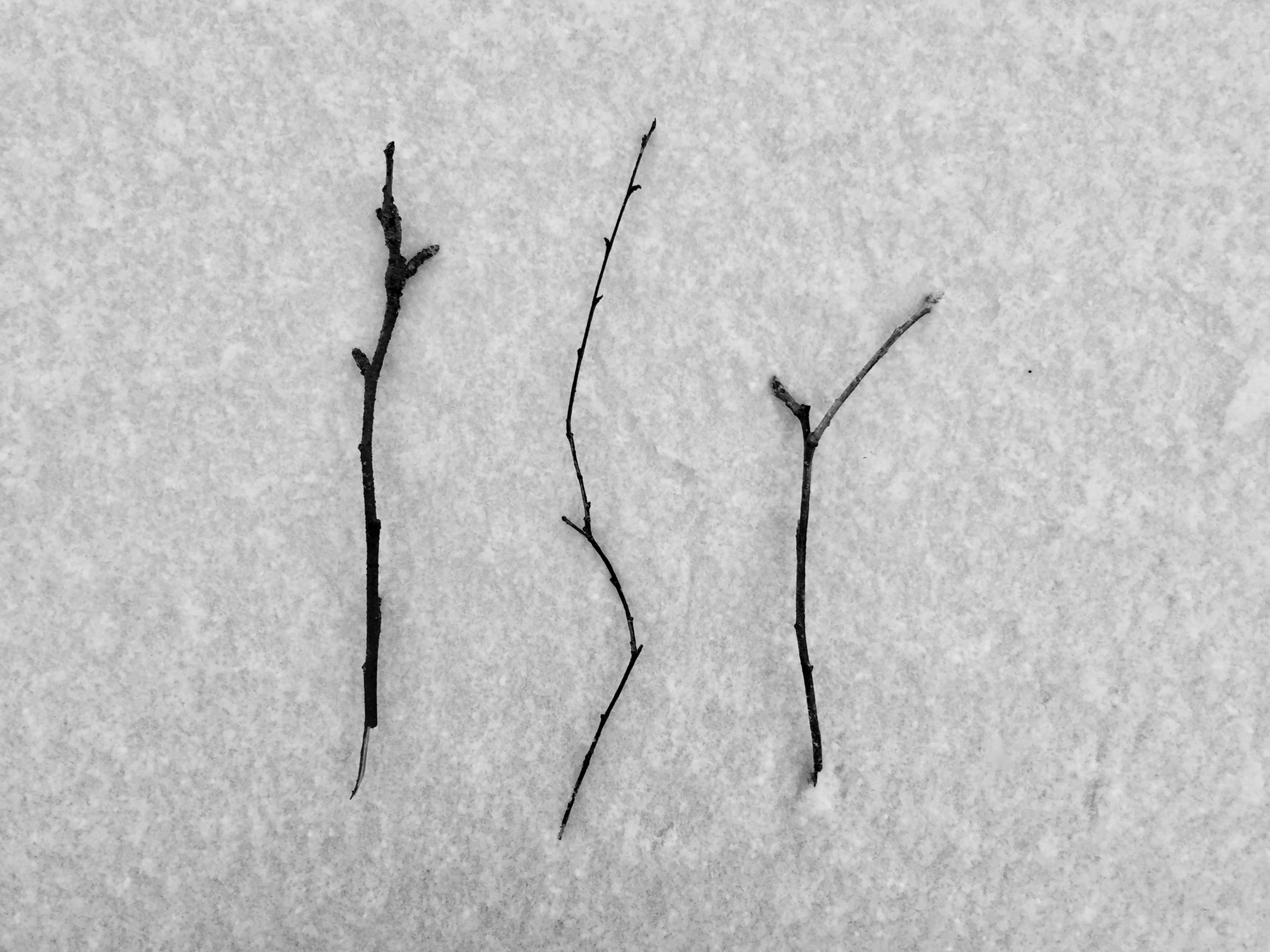 Contact information. Vasilisa Moiseeva, St. Peterburg, Russia, doc /art & reportage