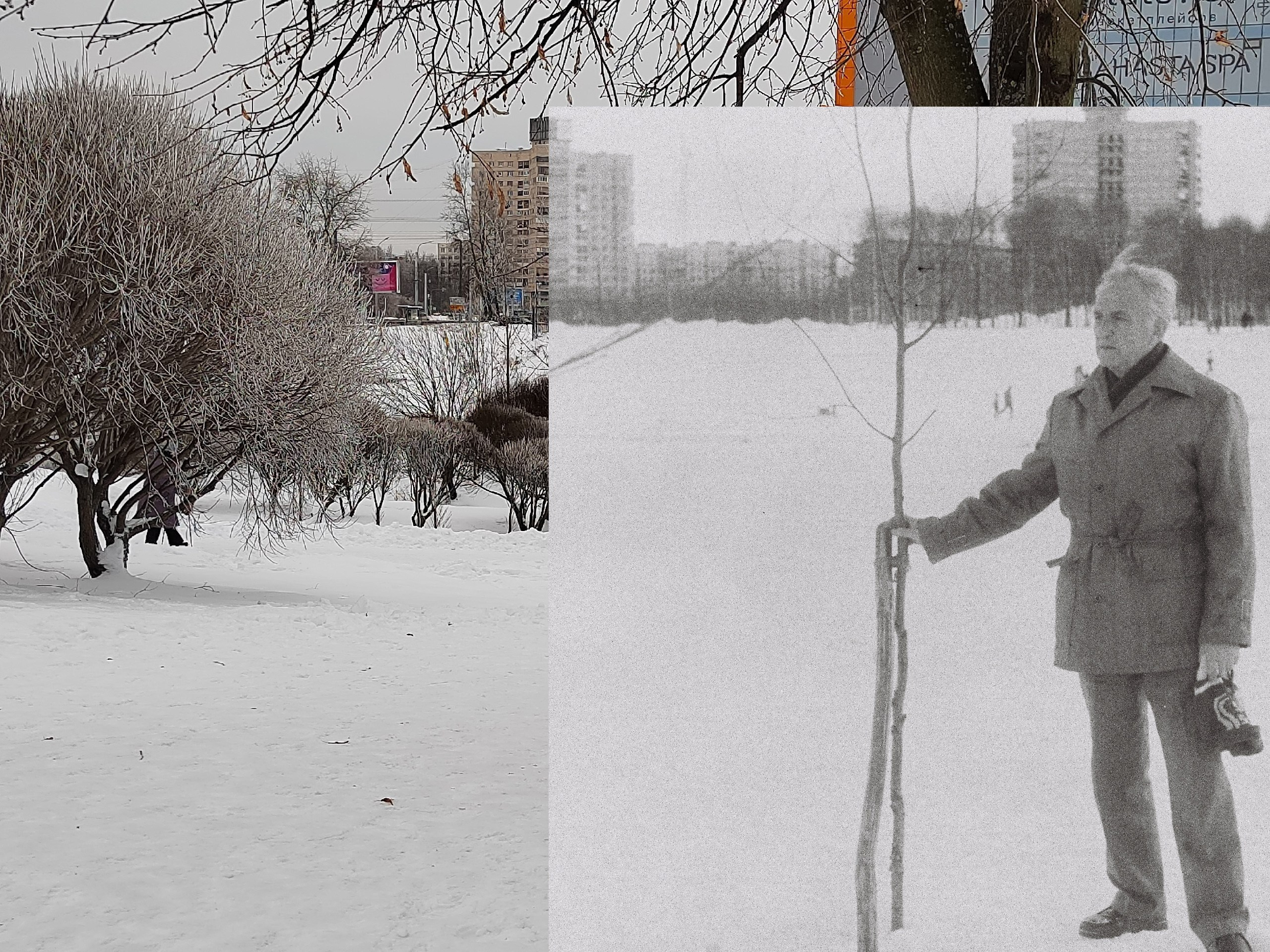Прощай, Гражданка!. Главная