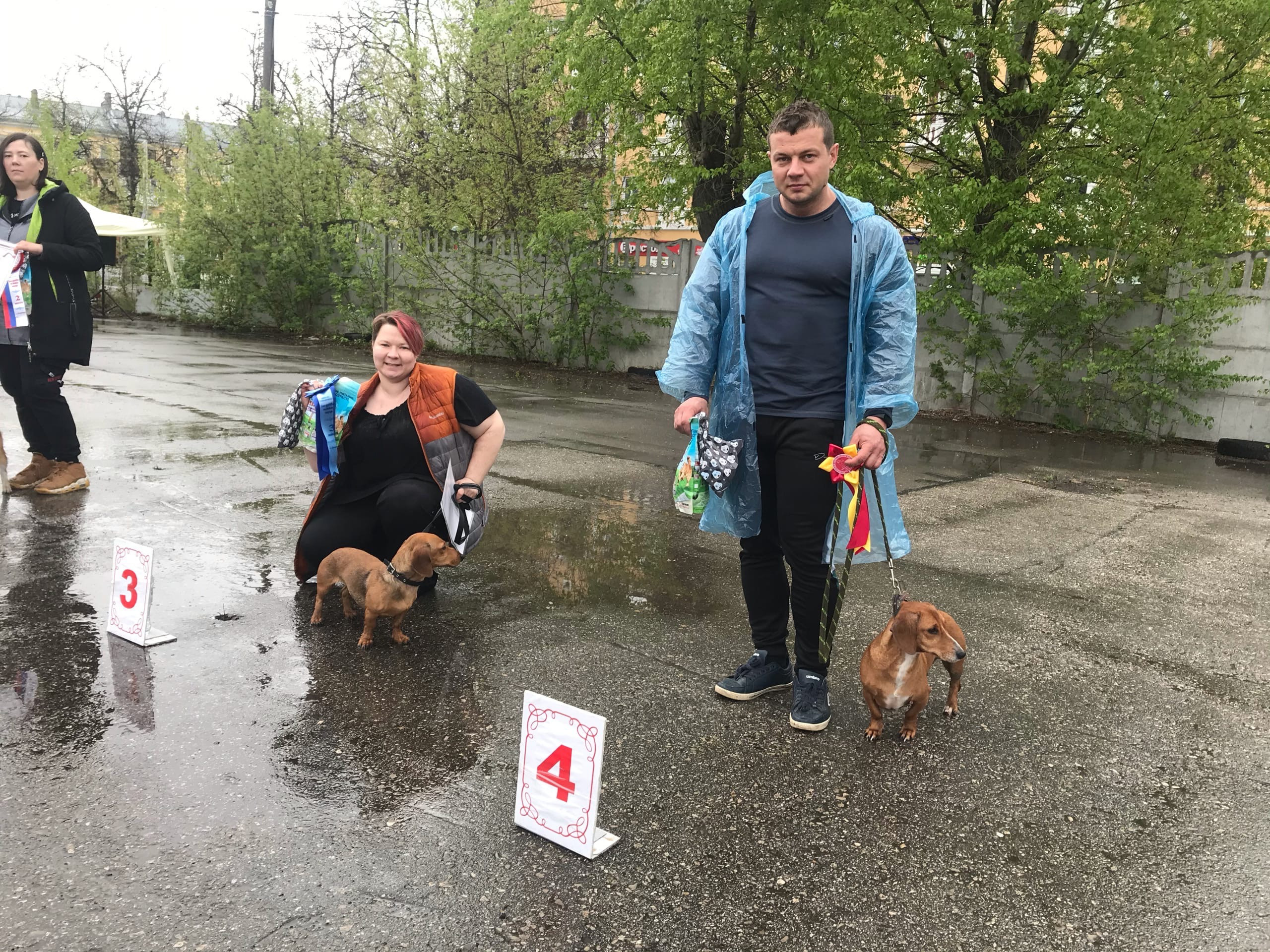 Акция «Забери друга из приюта». НРОО КЦ "Собаковод"