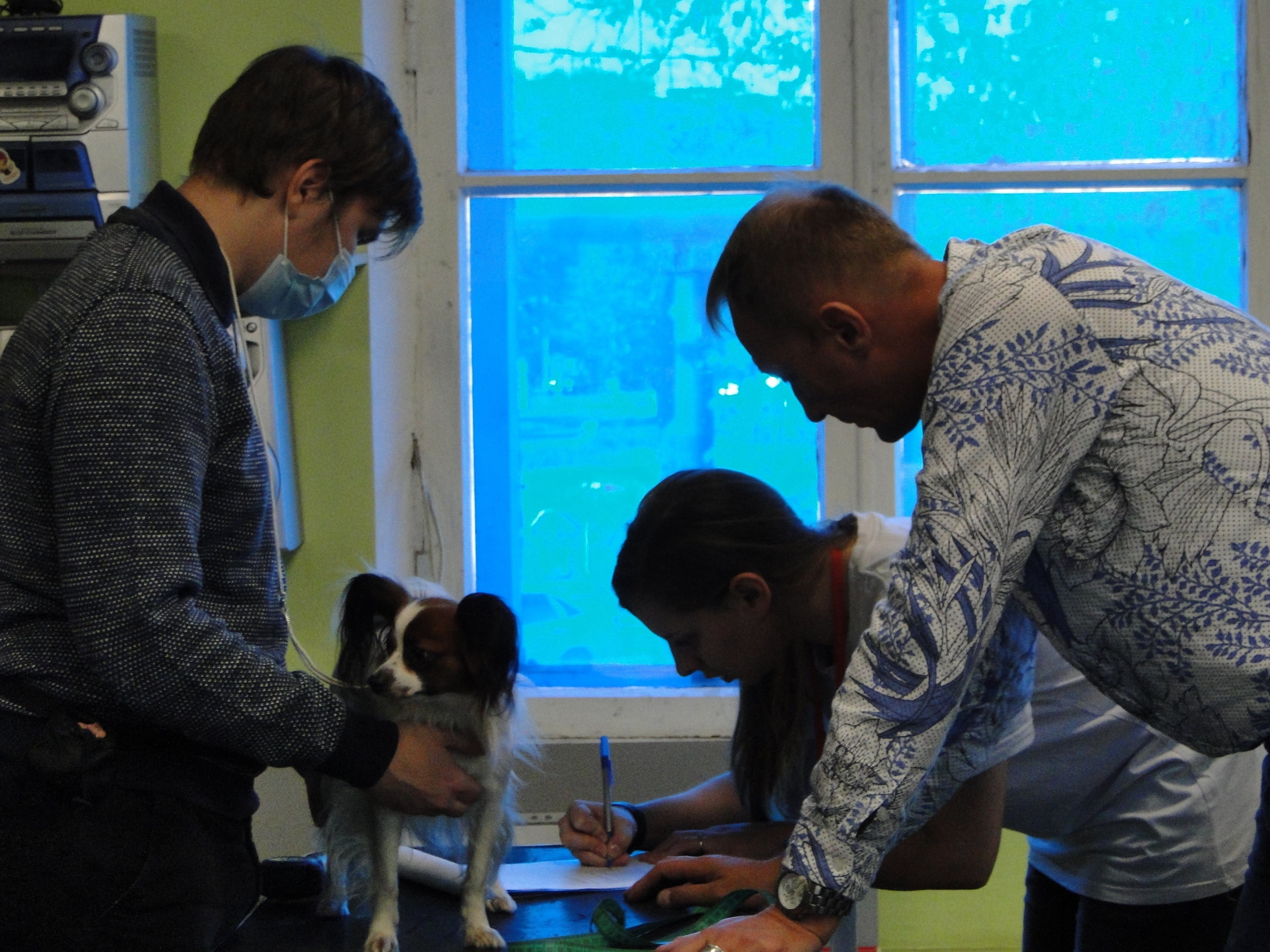 Племенной смотр 27.09.2020 г судья РКФ-FCI — А. Е. Логинов. НРОО КЦ "Собаковод"