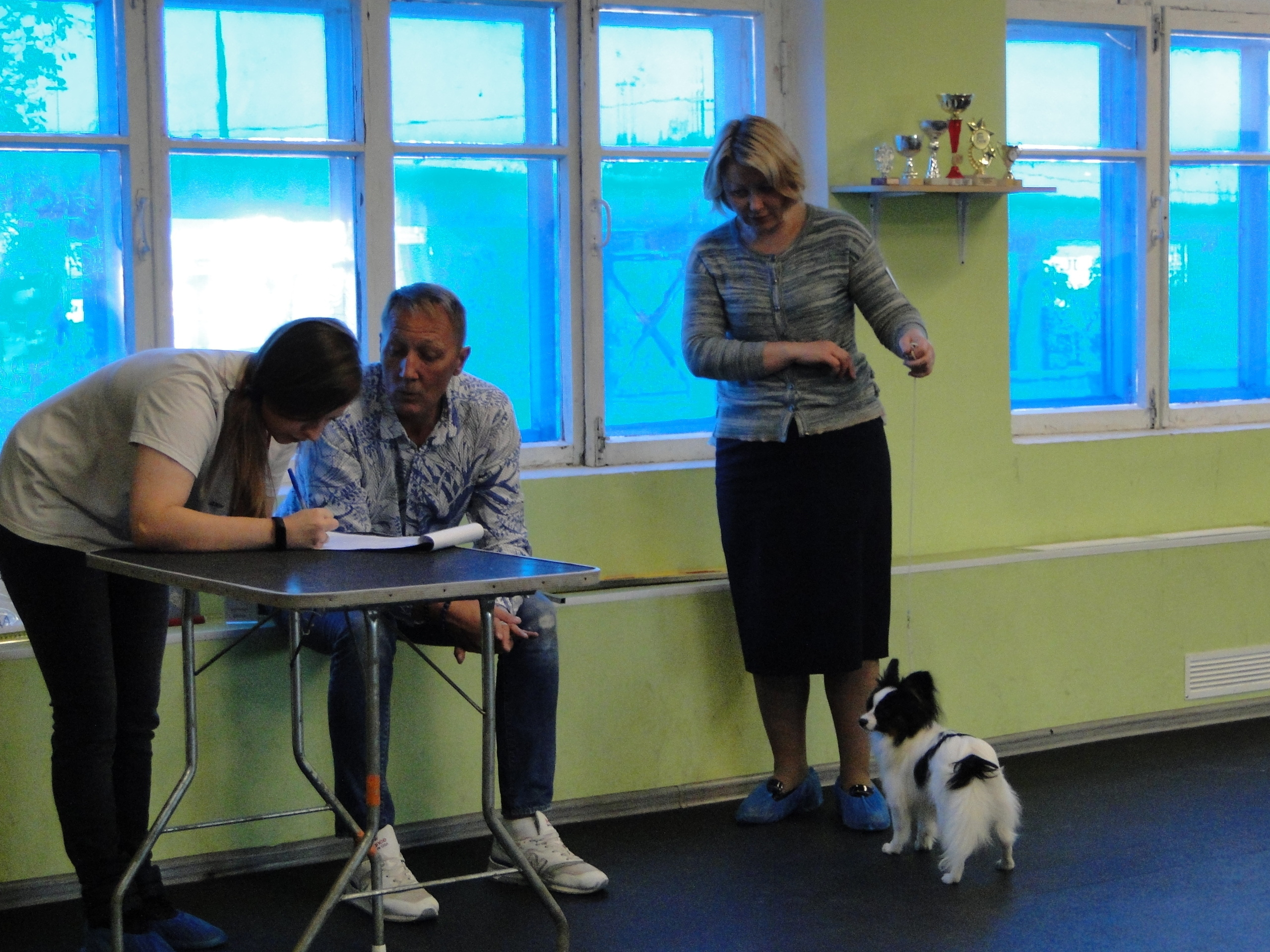 Племенной смотр 27.09.2020 г судья РКФ-FCI — А. Е. Логинов. НРОО КЦ "Собаковод"