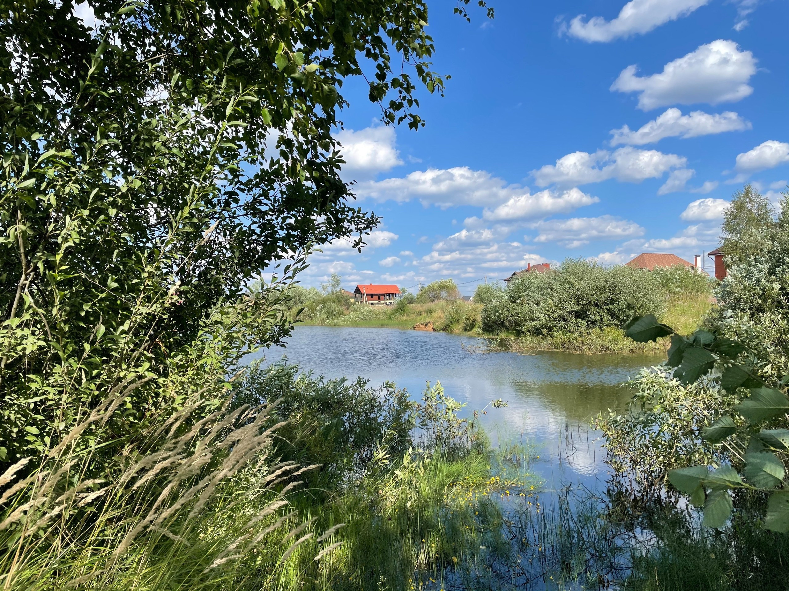 Прогулка в сосновом лесу Подмосковья: г. Сергиев Посад. Проект «Фотокладовка»: блог уличной фотографии в формате street photo