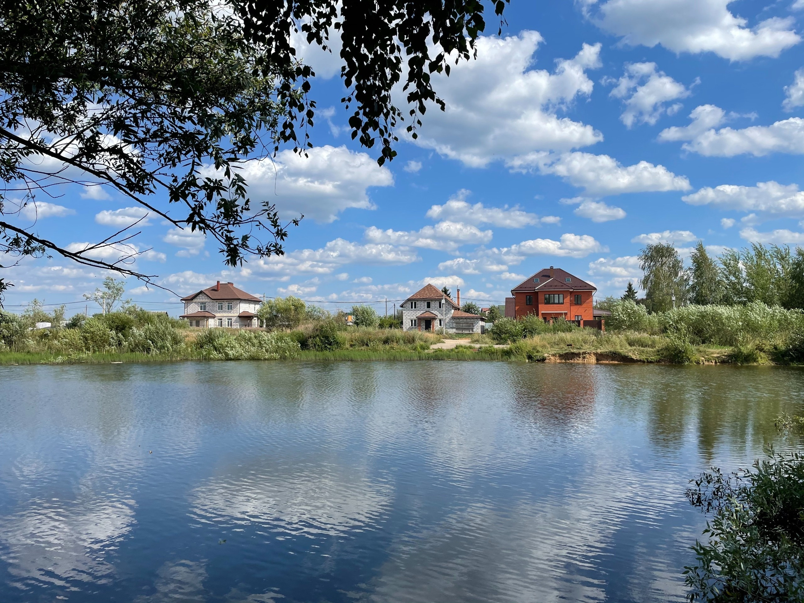 Прогулка в сосновом лесу Подмосковья: г. Сергиев Посад. Проект «Фотокладовка»: блог уличной фотографии в формате street photo