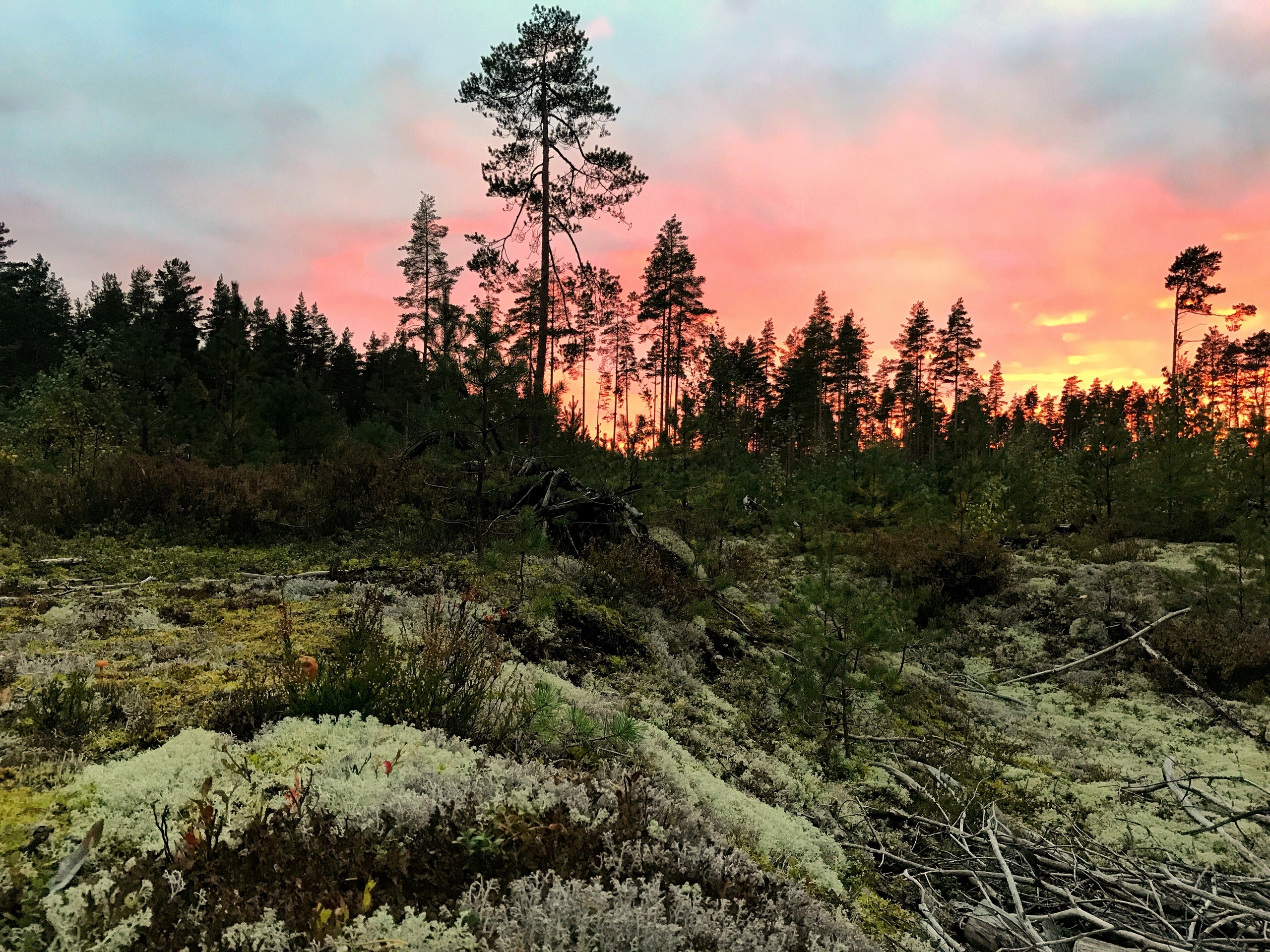 О себе. Главная