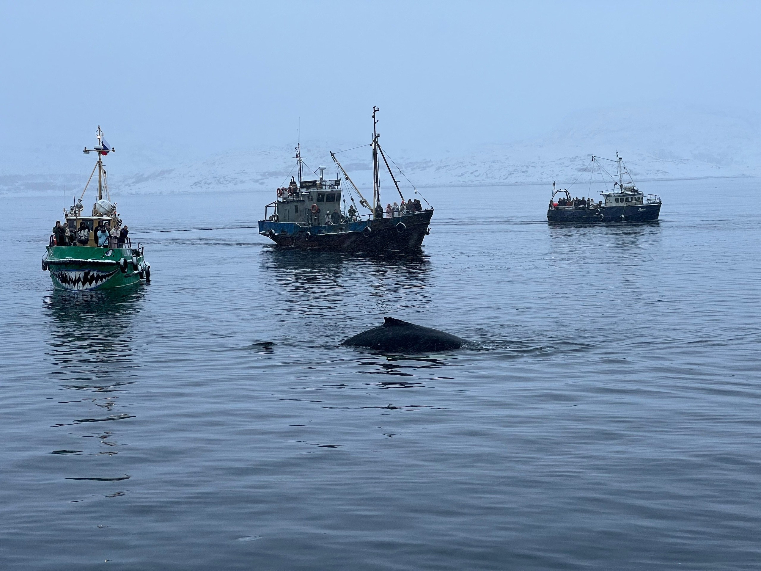 Путешествие по Териберке. Северное сияние. Уникальные экспедиции — LUCKY CLAN