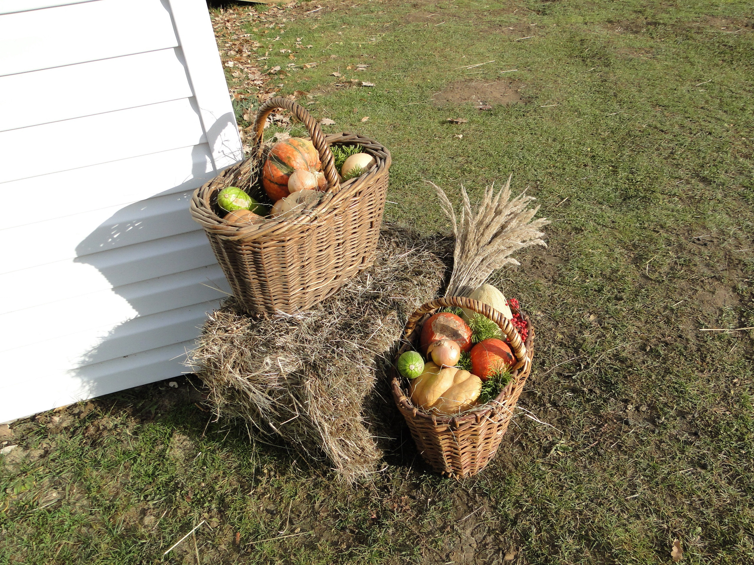 КВАЛИФИЦИРОВАННЫЕ СОСТЯЗАНИЯ по МОНДЬОРИНГУ 1-2. НРОО КЦ "Собаковод"