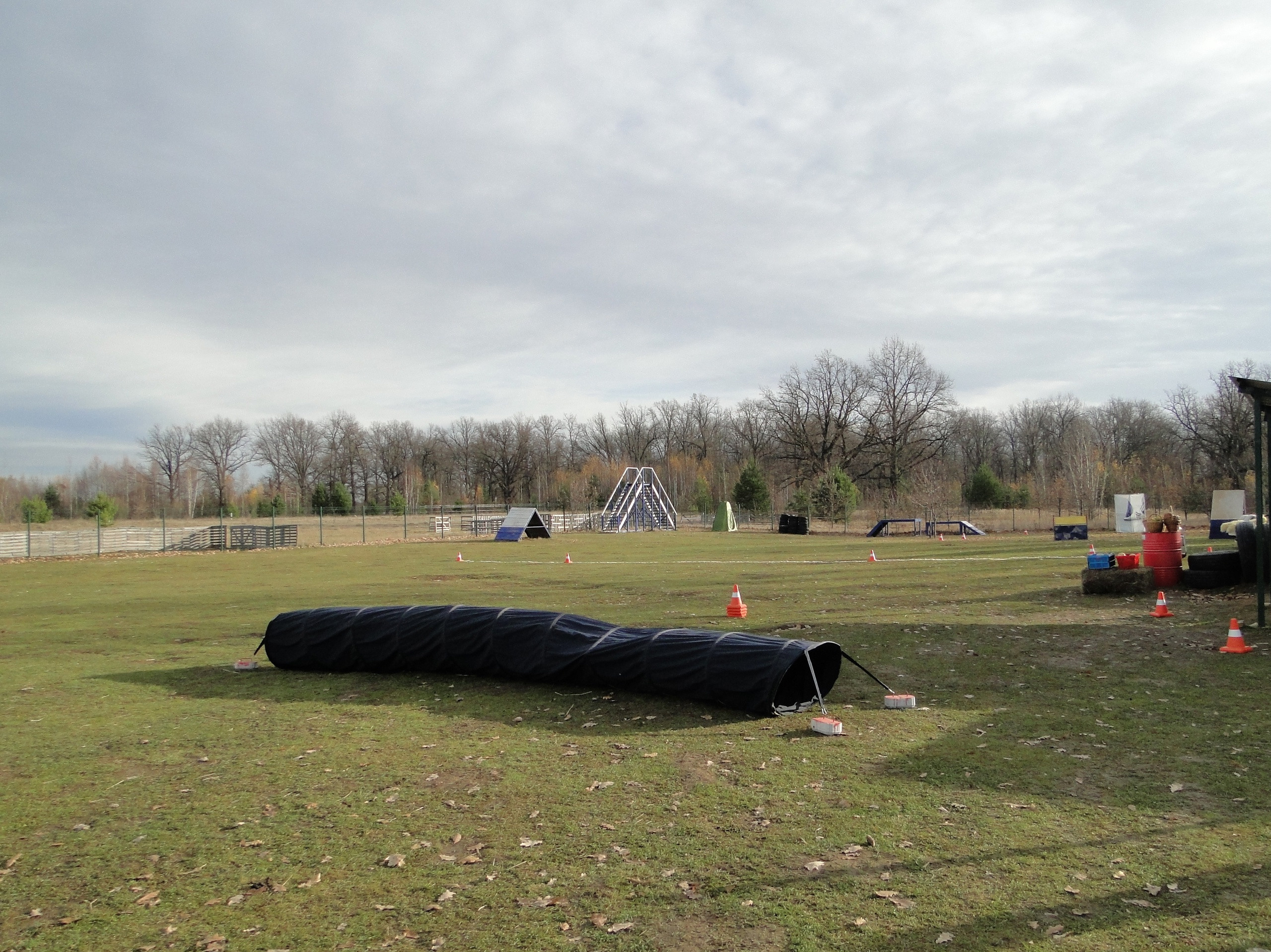 КВАЛИФИЦИРОВАННЫЕ СОСТЯЗАНИЯ по МОНДЬОРИНГУ 1-2. НРОО КЦ "Собаковод"