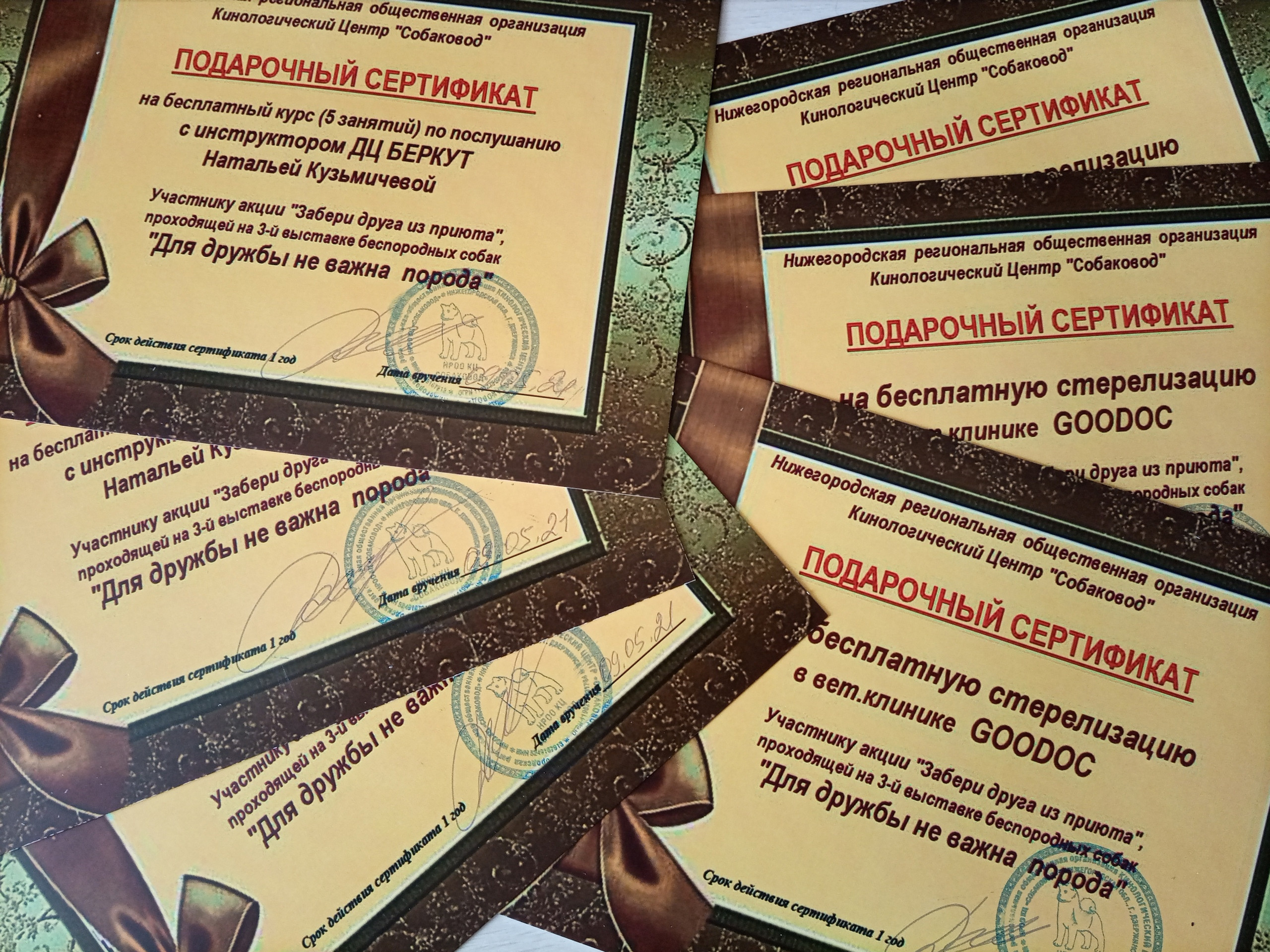 Третья выставка беспородных собак «Для дружбы не важна порода». НРОО КЦ "Собаковод"