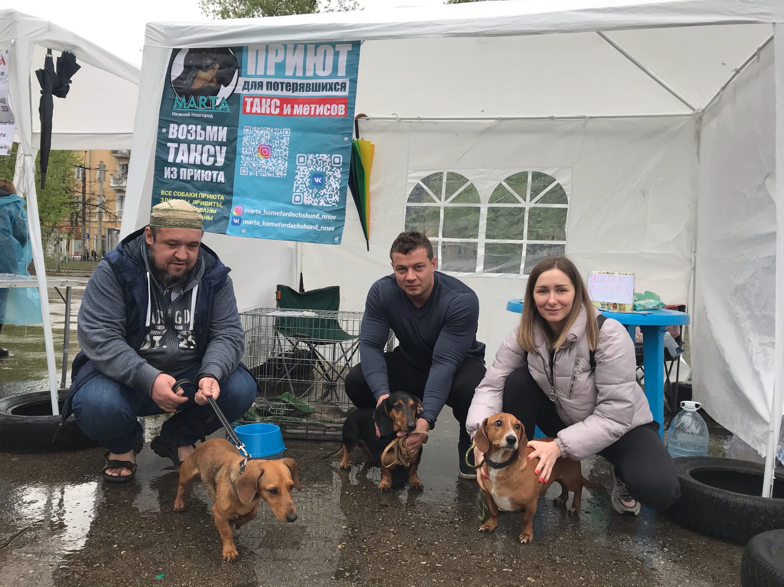 Третья выставка беспородных собак «Для дружбы не важна порода». НРОО КЦ "Собаковод"