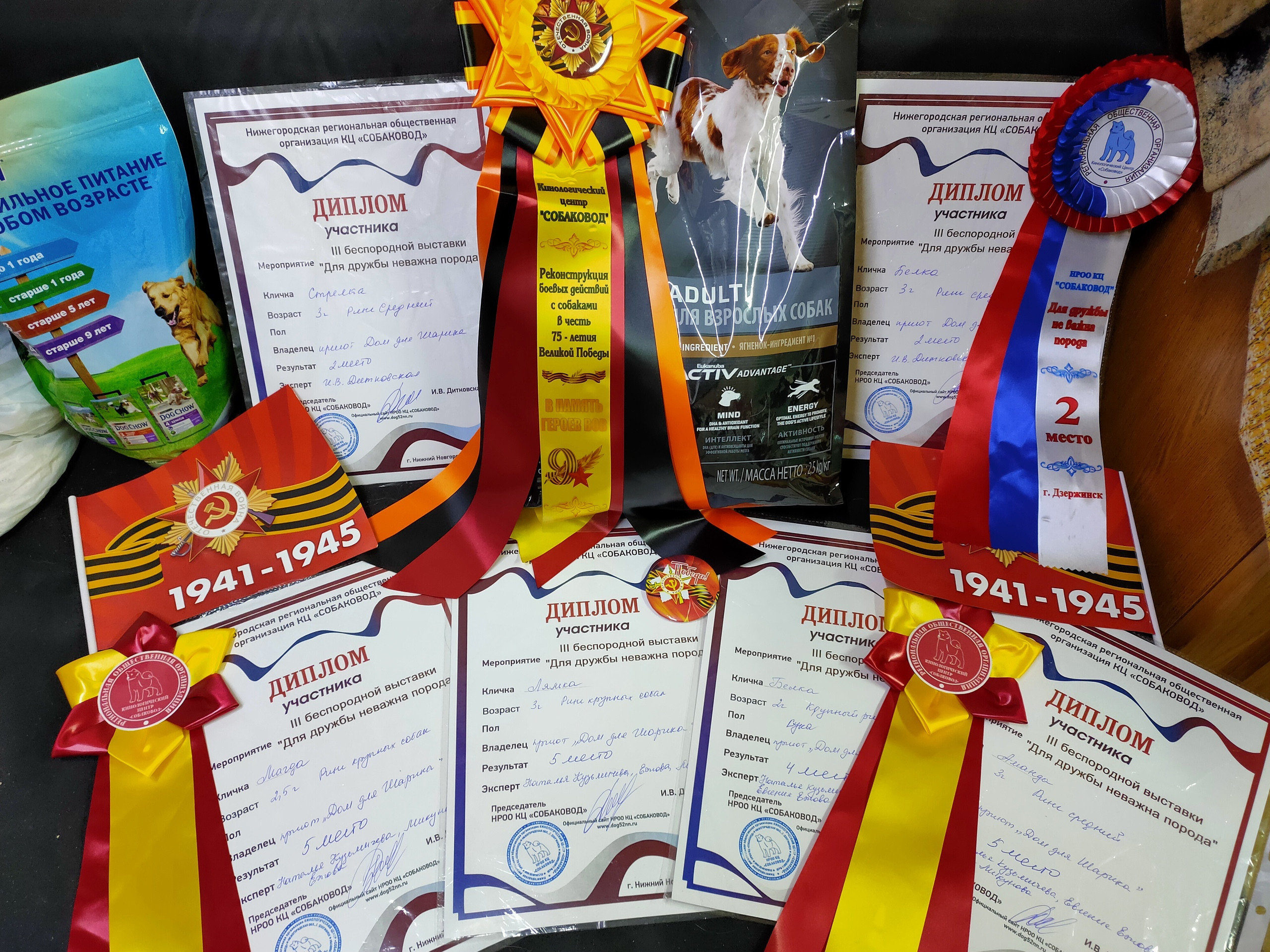 Третья выставка беспородных собак «Для дружбы не важна порода». НРОО КЦ "Собаковод"