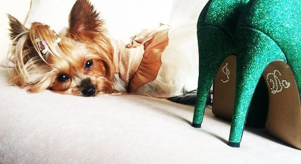 Свадебные стили 2017. Видеосъёмка в Барнауле и Новосибирске Александр Шерстнёв