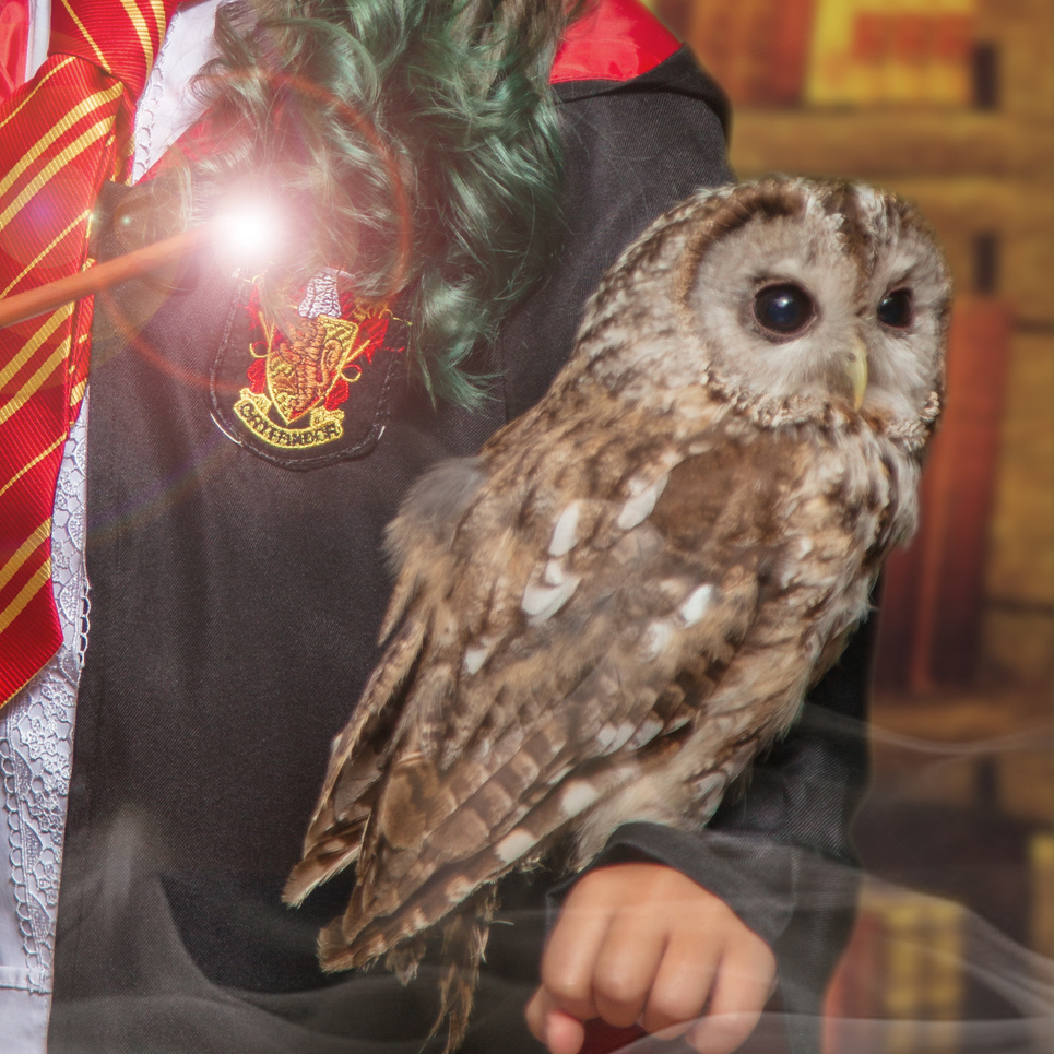 Фотопроект «Гарри Поттер». Фотоцентр Перспектива: выпускные альбомы, фотошкола, курсы фотографии