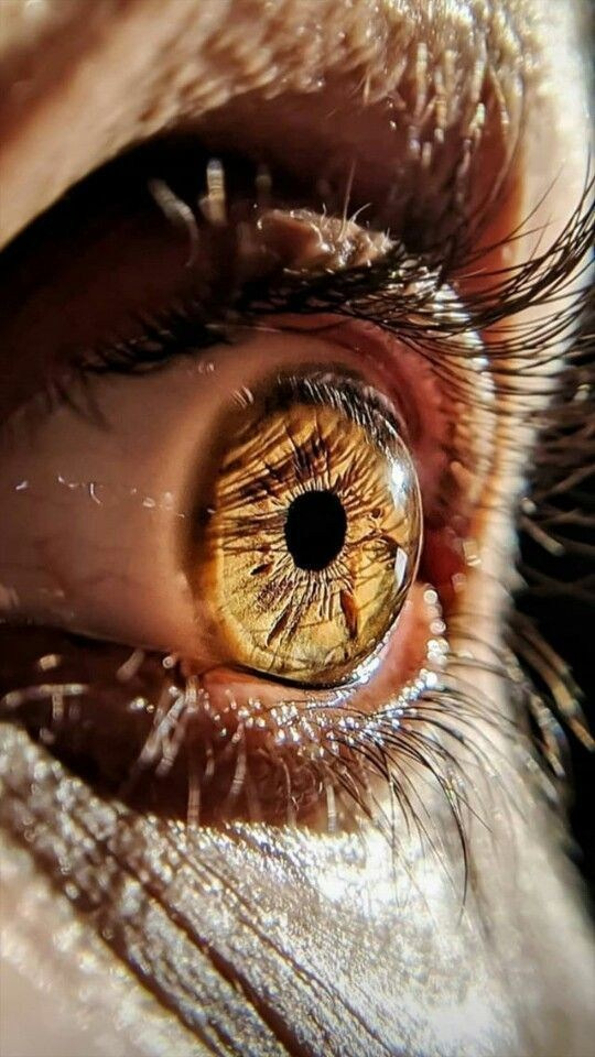 Фотография радужной оболочки глаза — это новое направление в профессиональной портретной съемке. Профессиональная фотосъемка. Ростов-на-Дону