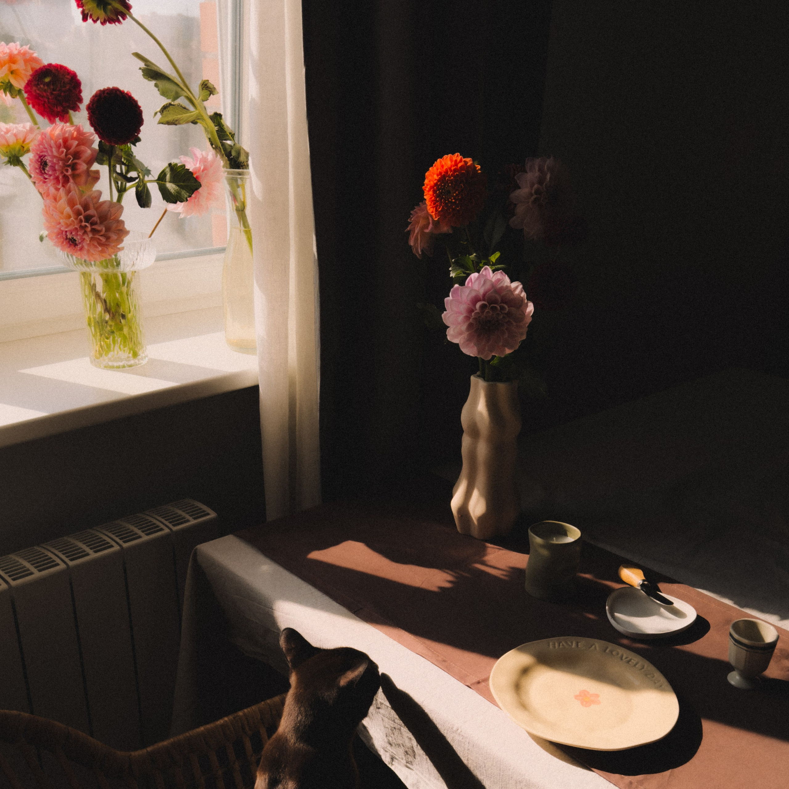 Мастер класс. Фотограф Анастасия Дмитриева