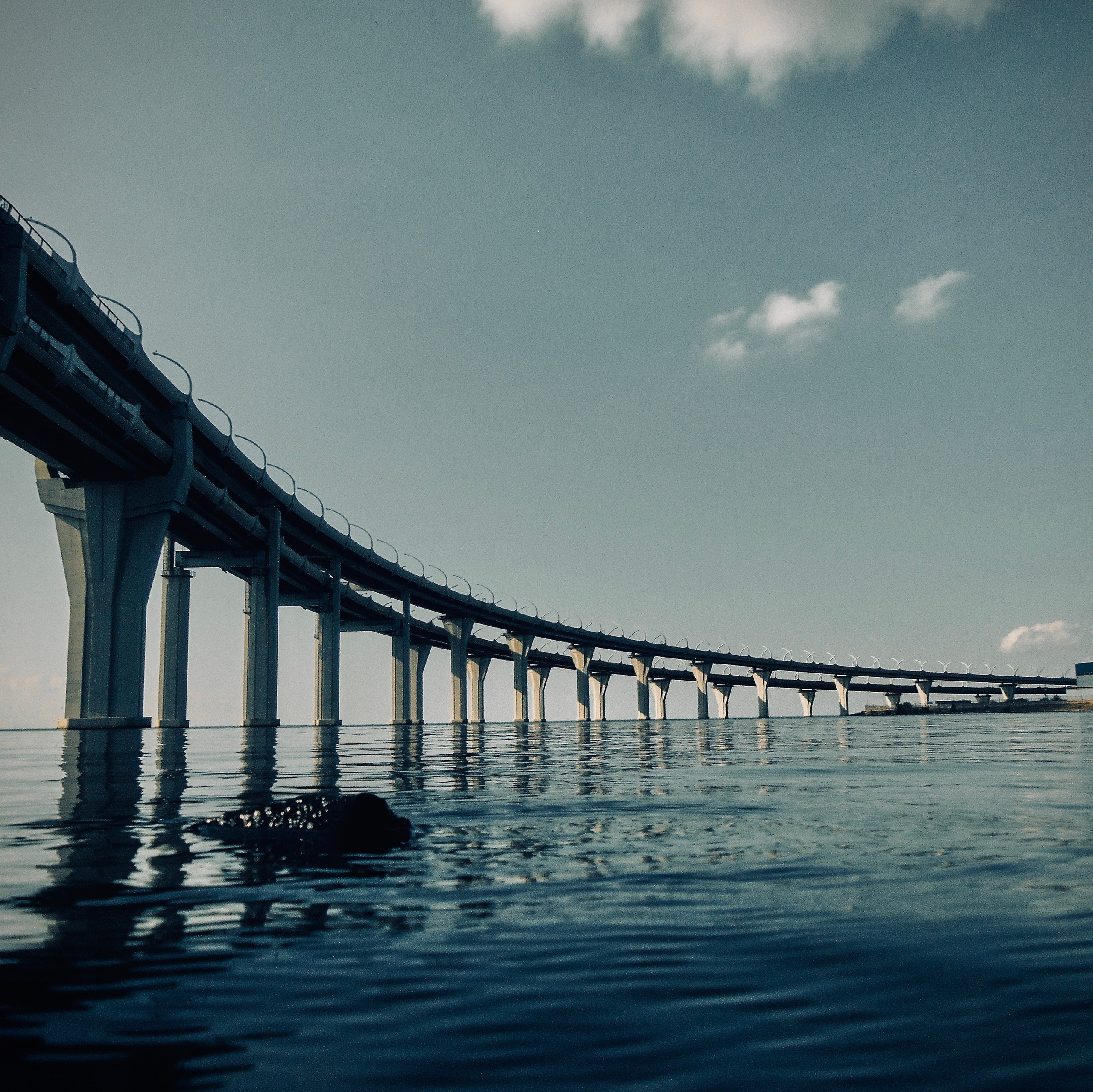 Съемка на старую мыльницу. Фотограф I Санкт-Петербург