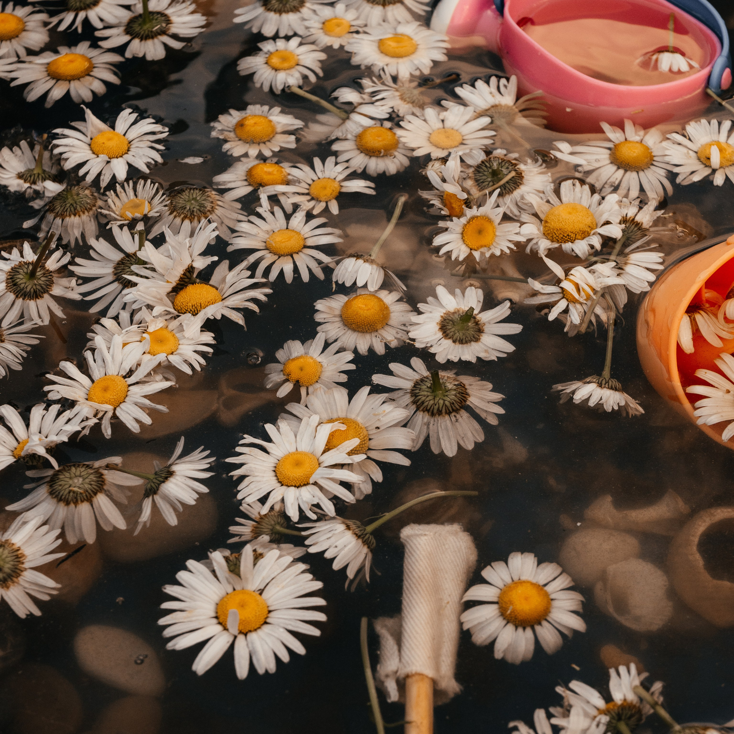 Проекты. Арина Мелехова фотограф Красная Поляна