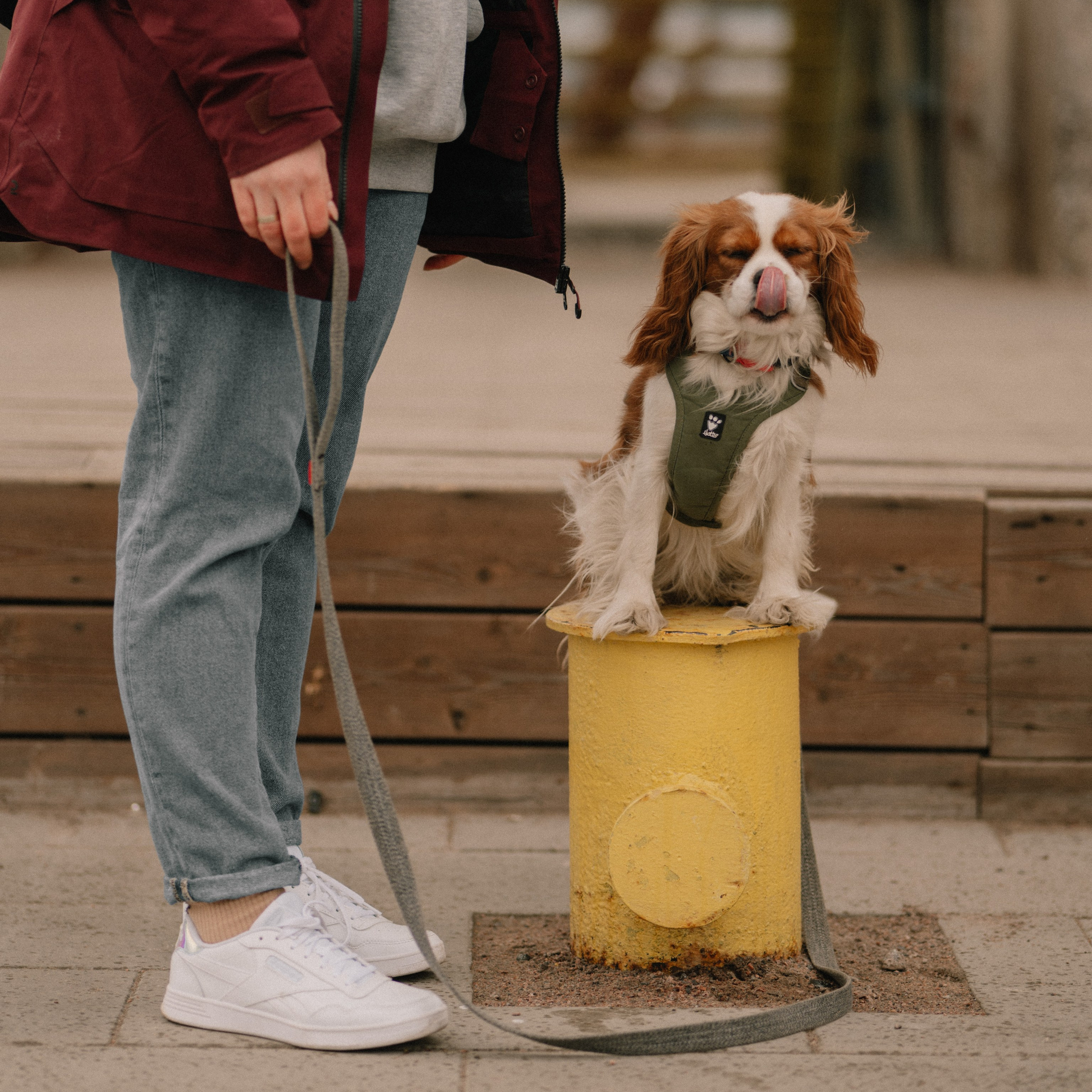 Фотограф Ника Лиепа