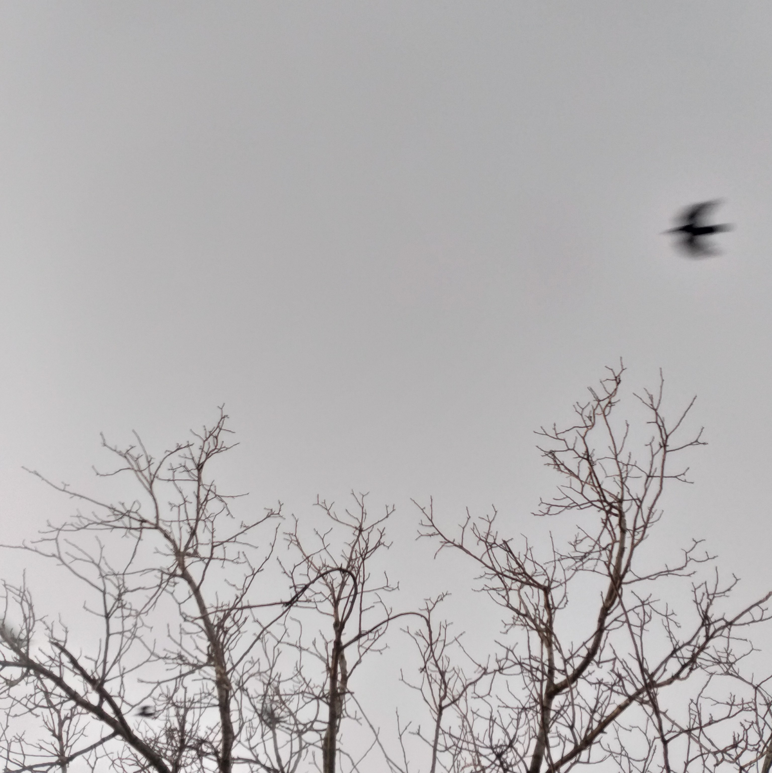 Portrait photographer in Tivat Montenegro Katerina Kirsanova