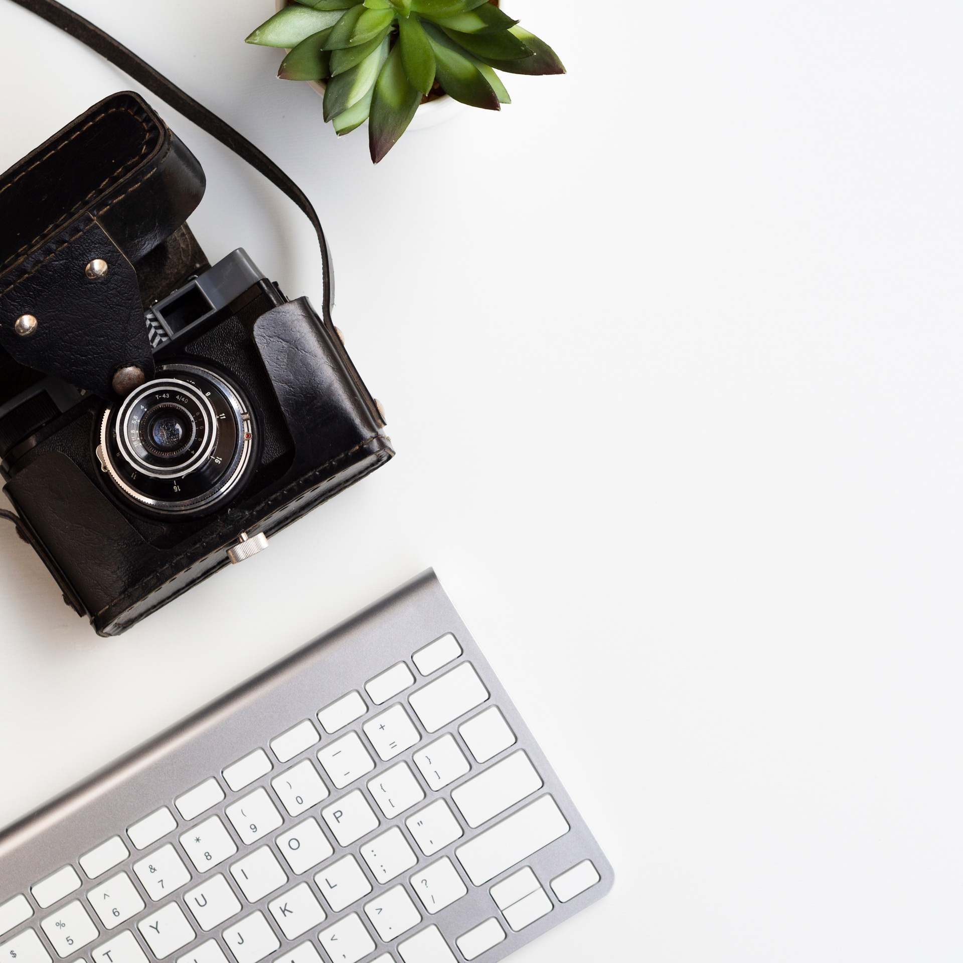 Контакты. Альбомы с самого детства. +79237847111