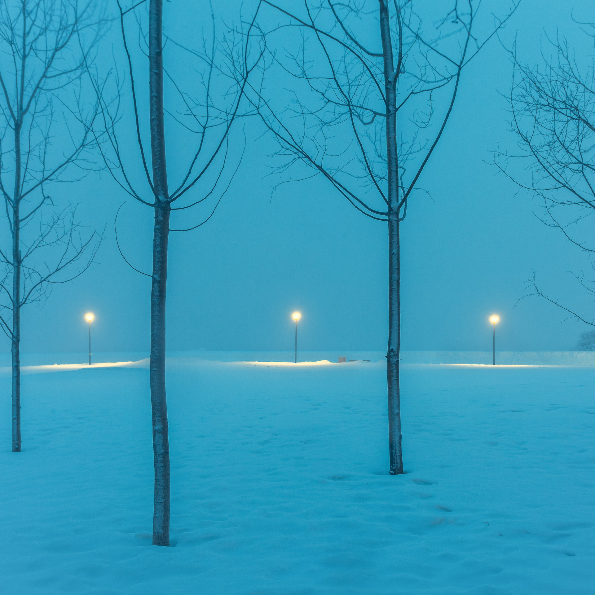 Artist's statement. Фотограф в Москве Татьяна Макотра