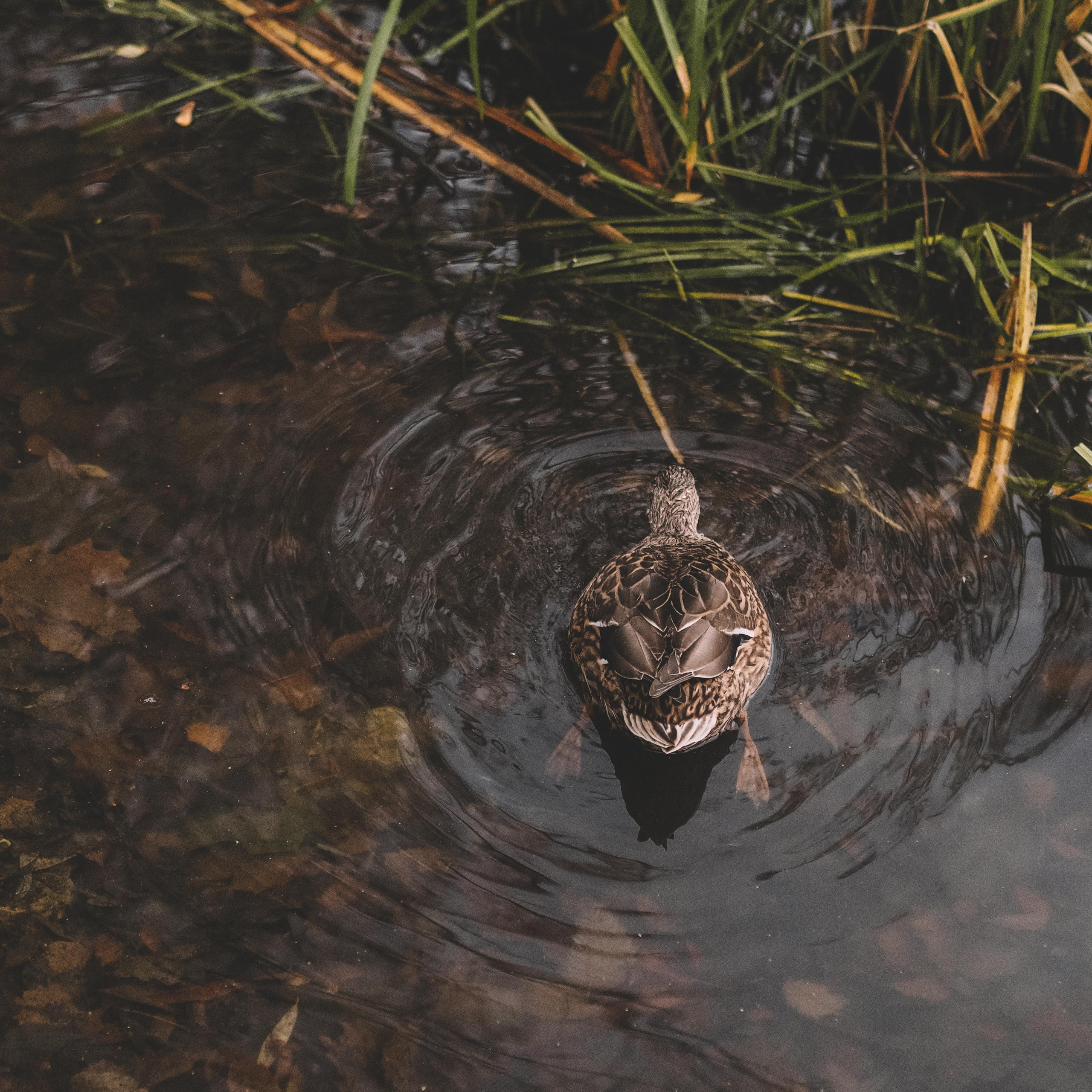 Усадьба Архангельское. Семейный фотограф на крещение Кристина Фриденберга, Москва