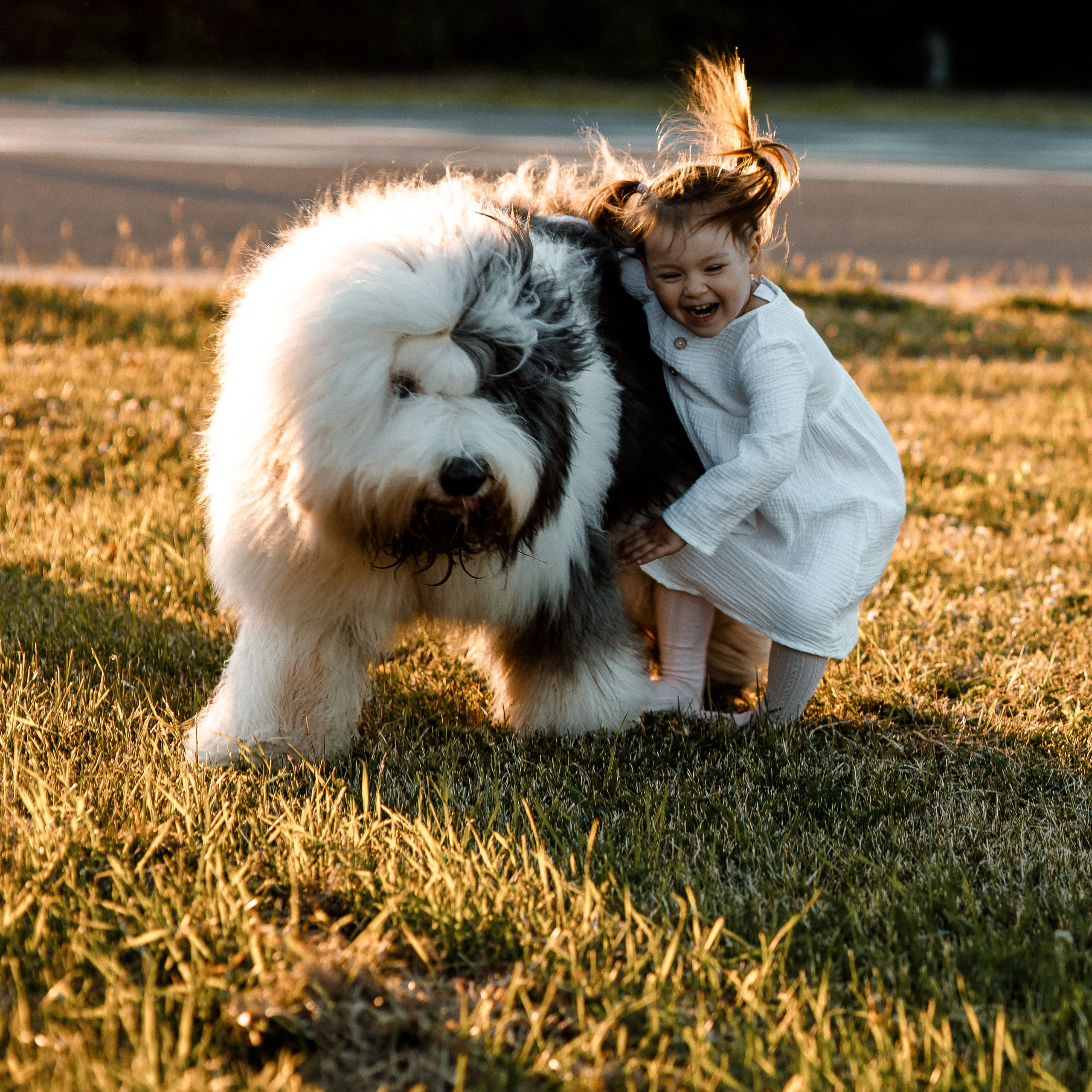 Обучение фотографии с нуля