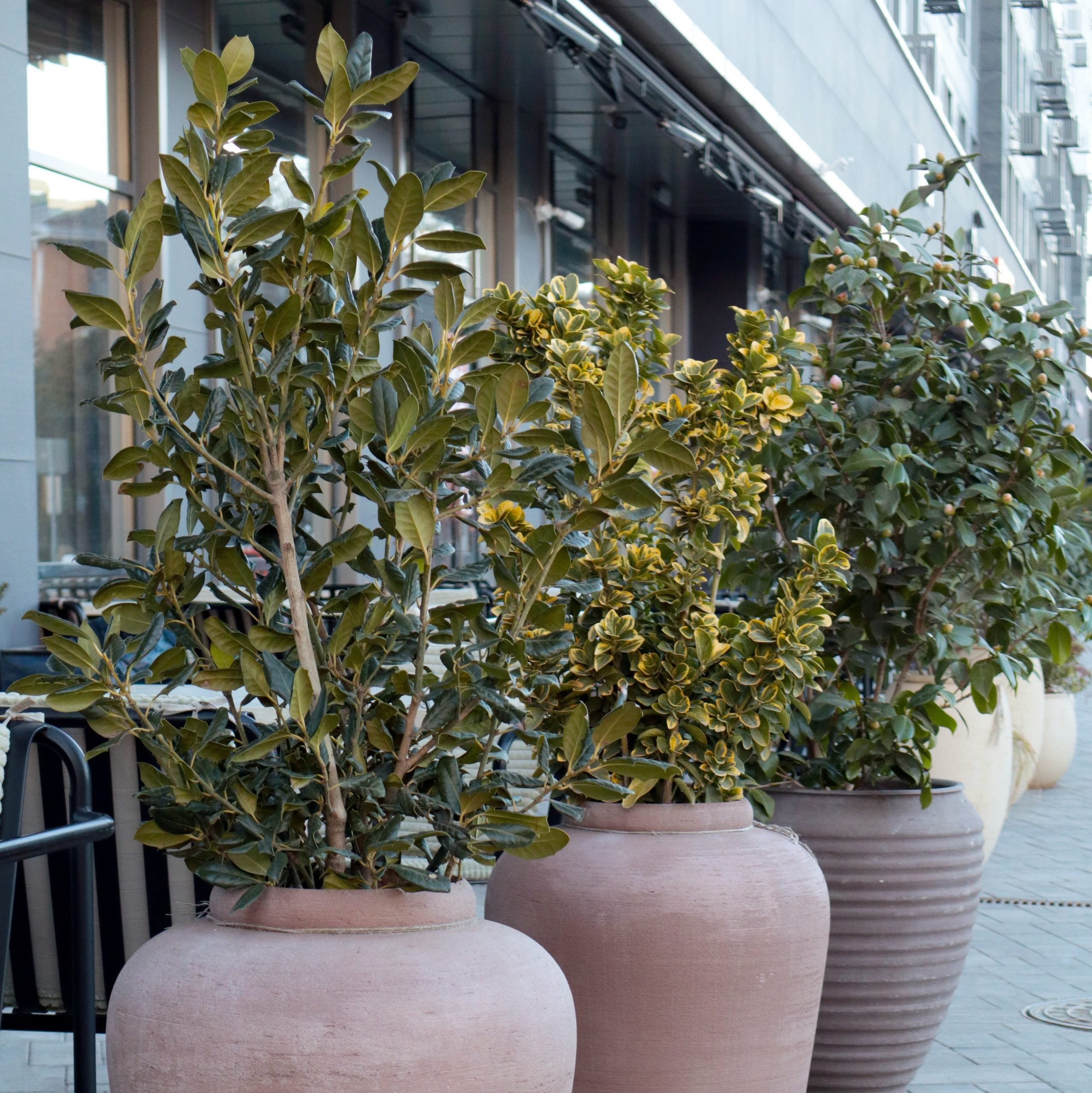 Фотограф | Контент и Визуал | Краснодар