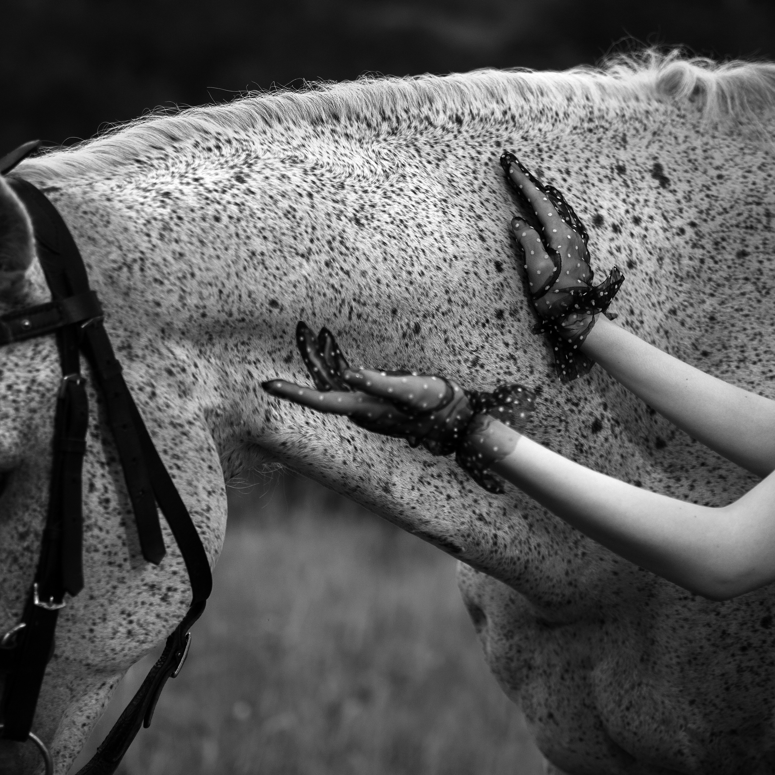 Фотограф Кисловодск / Москва Алёна Выбенгер