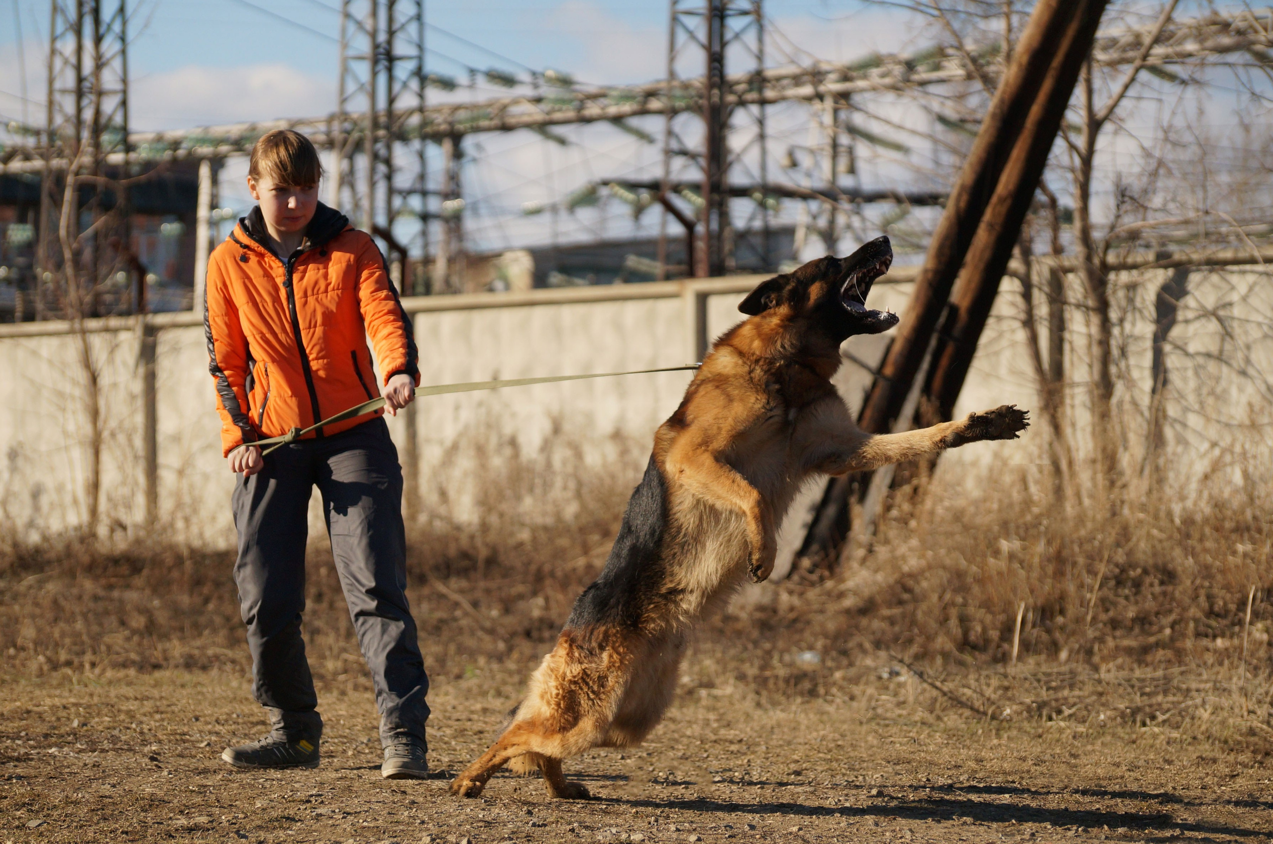 Обо мне. Фотограф-анималист Анастасия Большакова