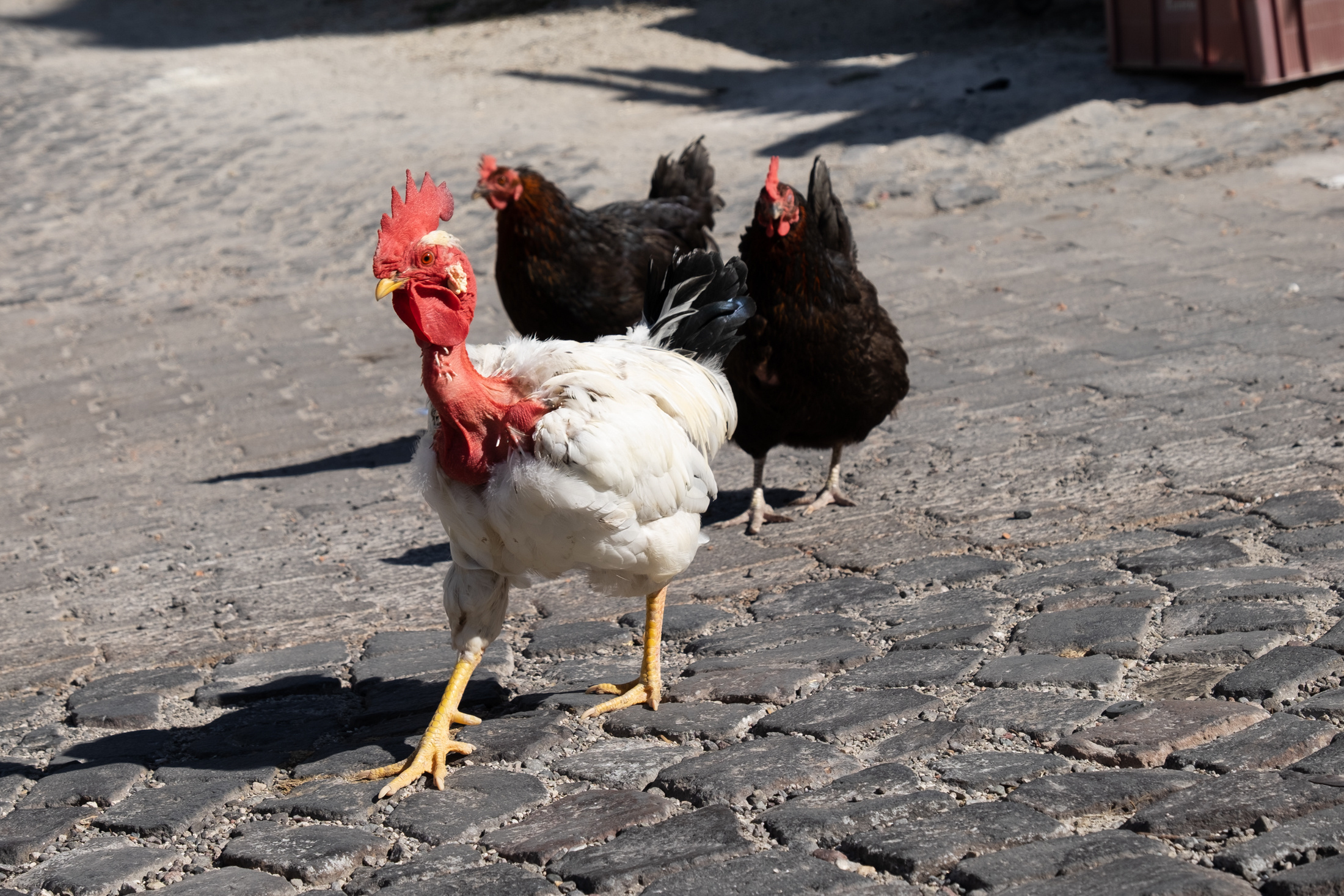 Такая необычная Турция. Фотограф Александр Чешуин