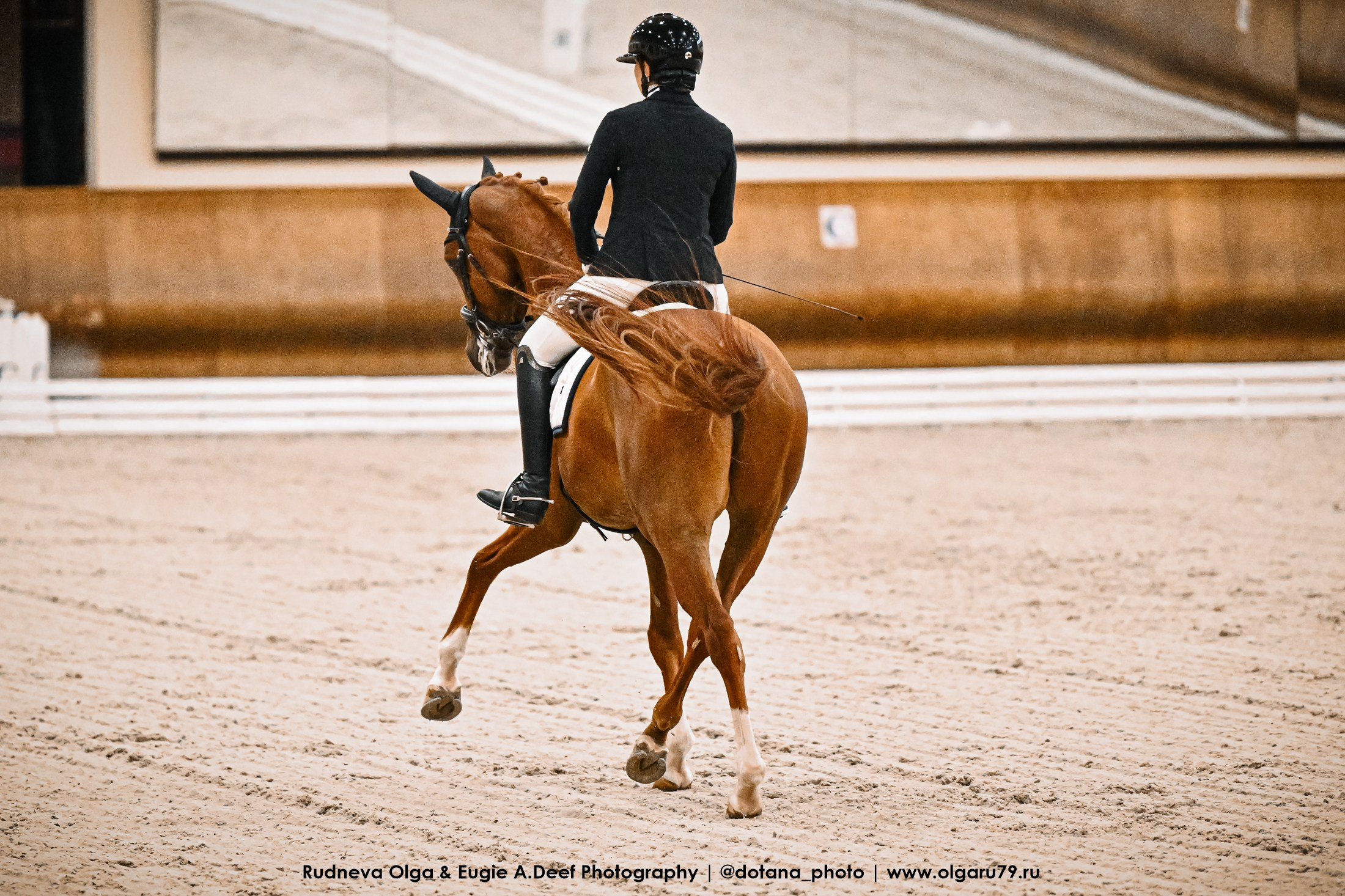 2026-04-19 КСК Дивный (выездка). ТУРНИРНАЯ КОННАЯ ФОТОГРАФИЯ, Руднева Ольга и Евгений Адеев