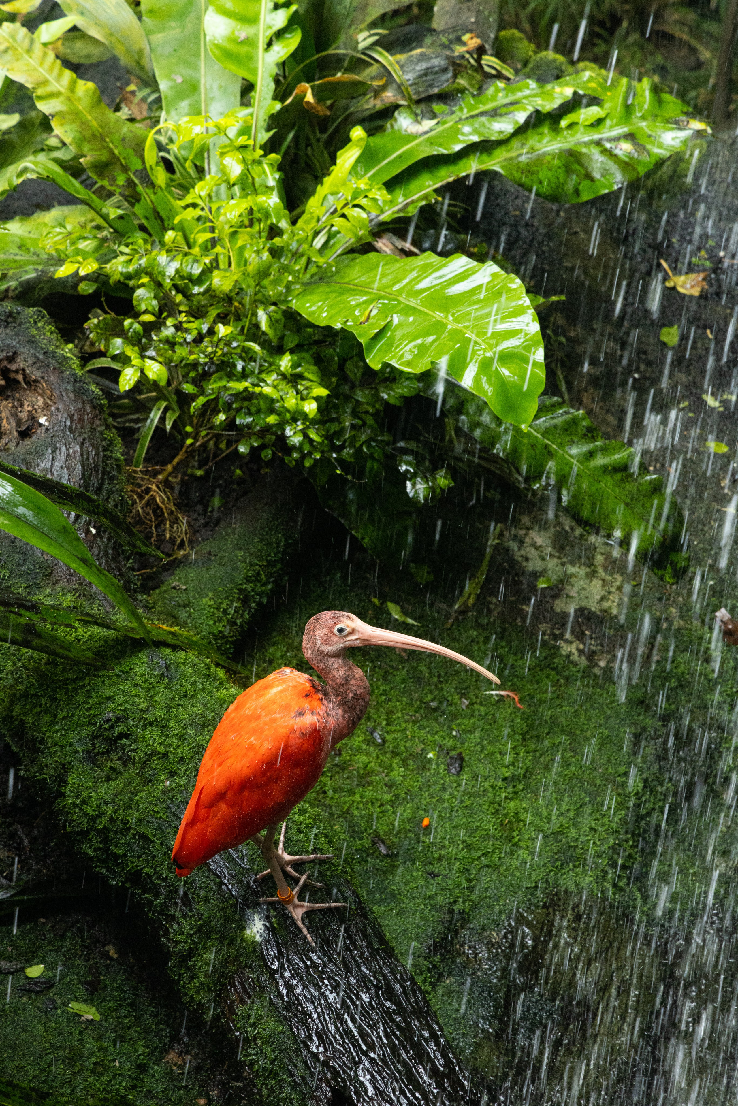 Продажа фото-постеров. Фотосъемка для вашего бизнеса в Челябинске