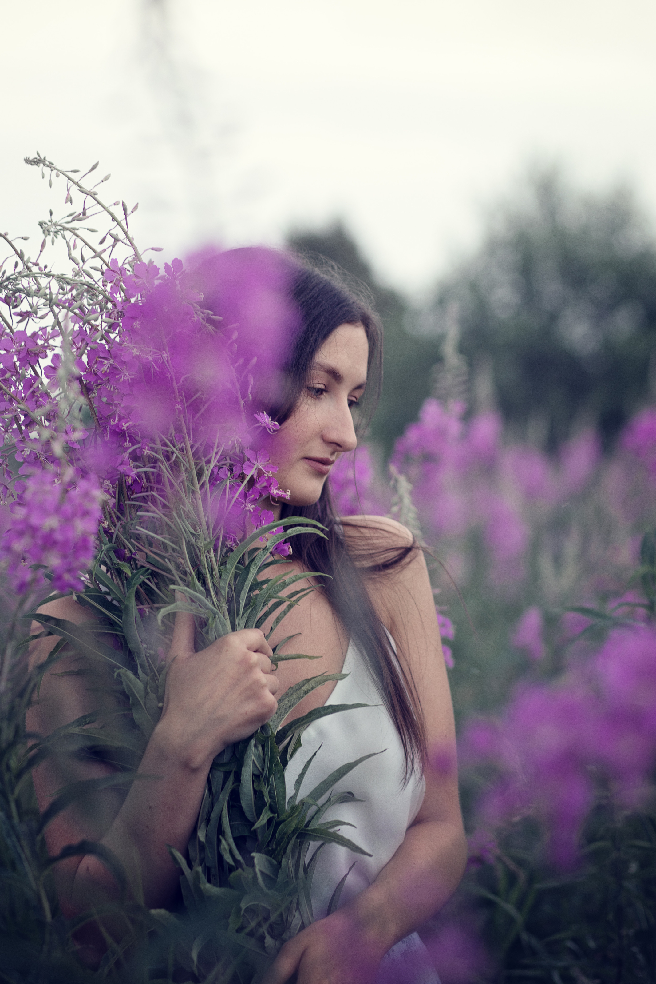 Фотопрогулка. Главная