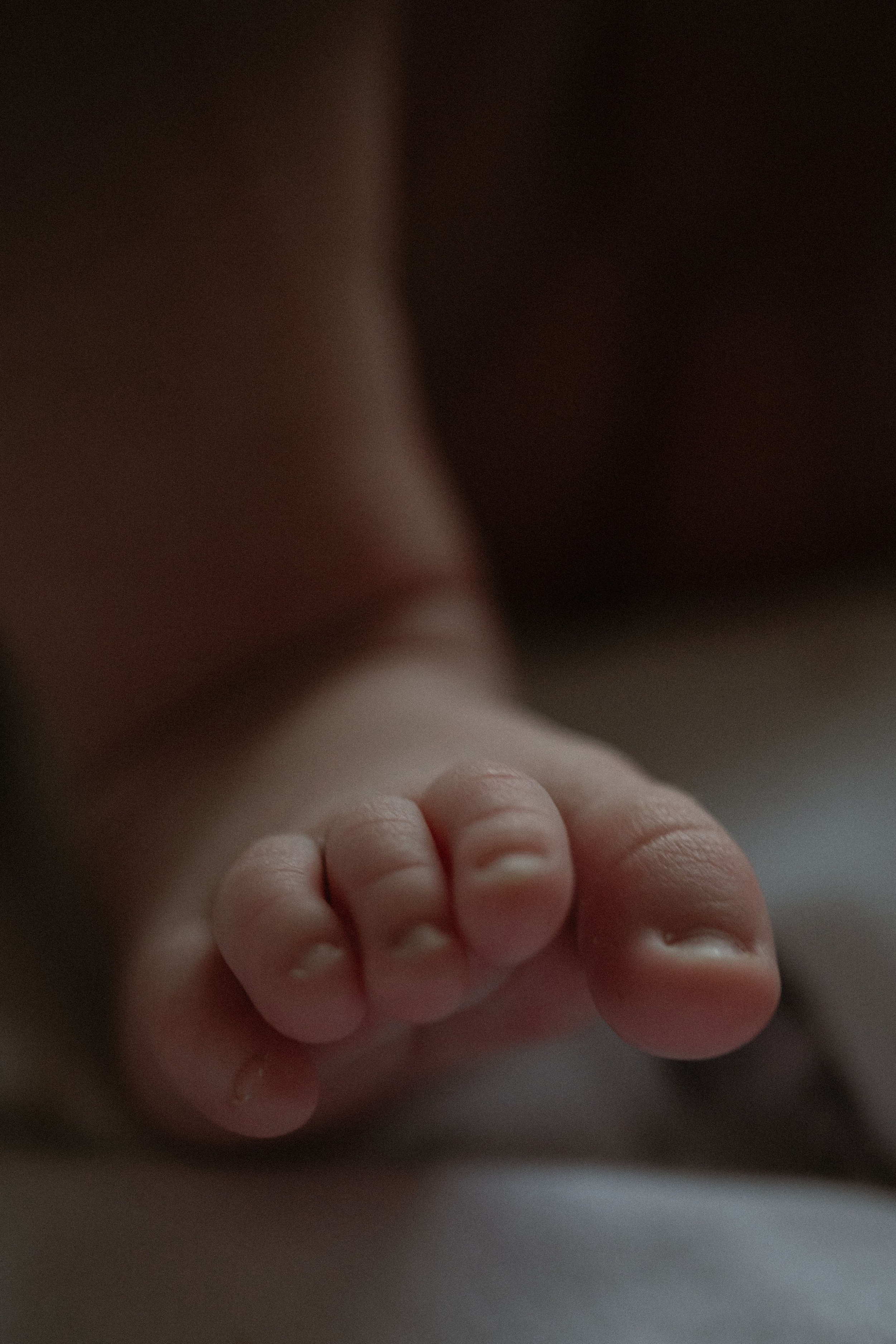 Фотограф беременности и семьи, домашние съемки