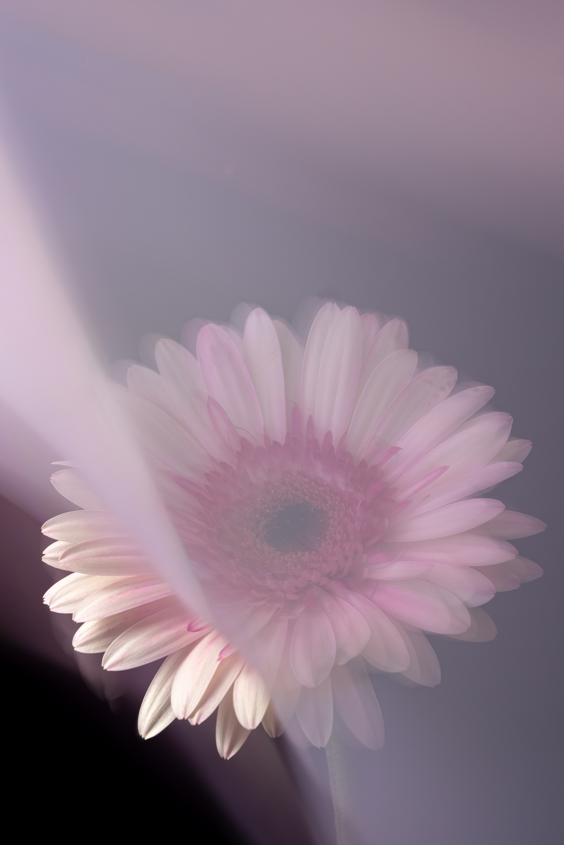 Часто задаваемые вопросы — предметная фотосъемка. Предметный фотограф Дарья Штерн из Санкт-Петербурга