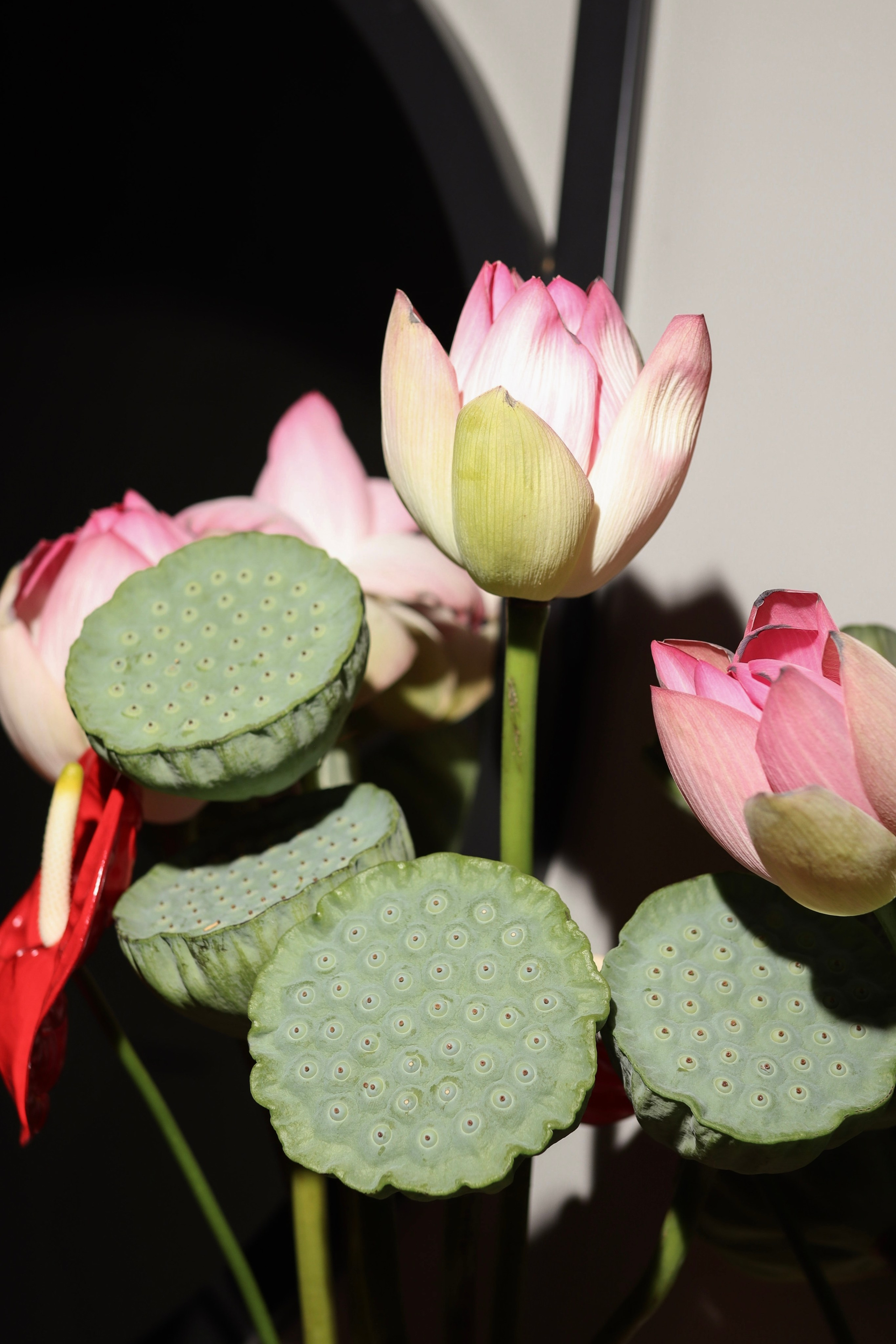 Свадебный фотограф Катерина Евст