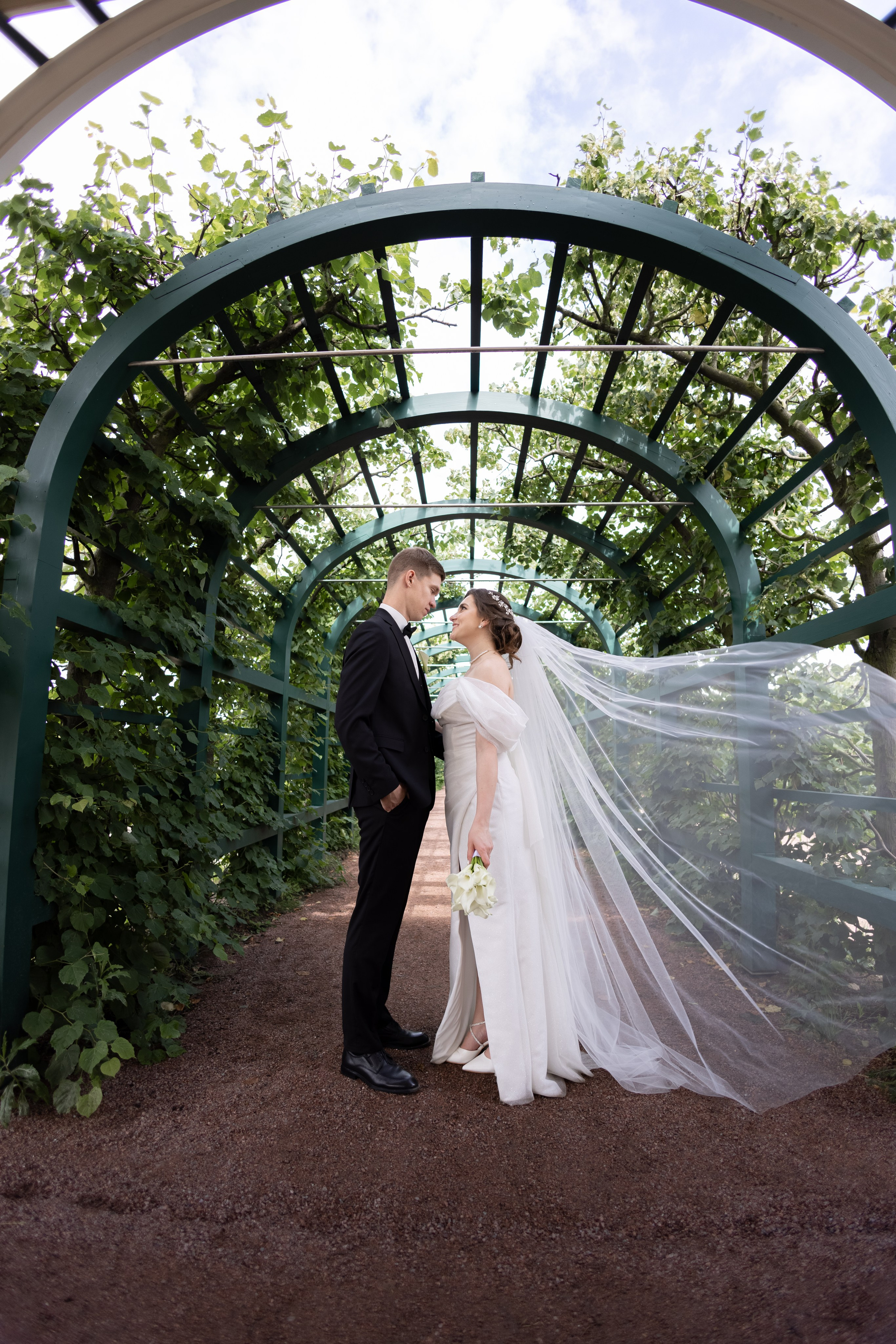 Свадебный фотограф Иван Петров