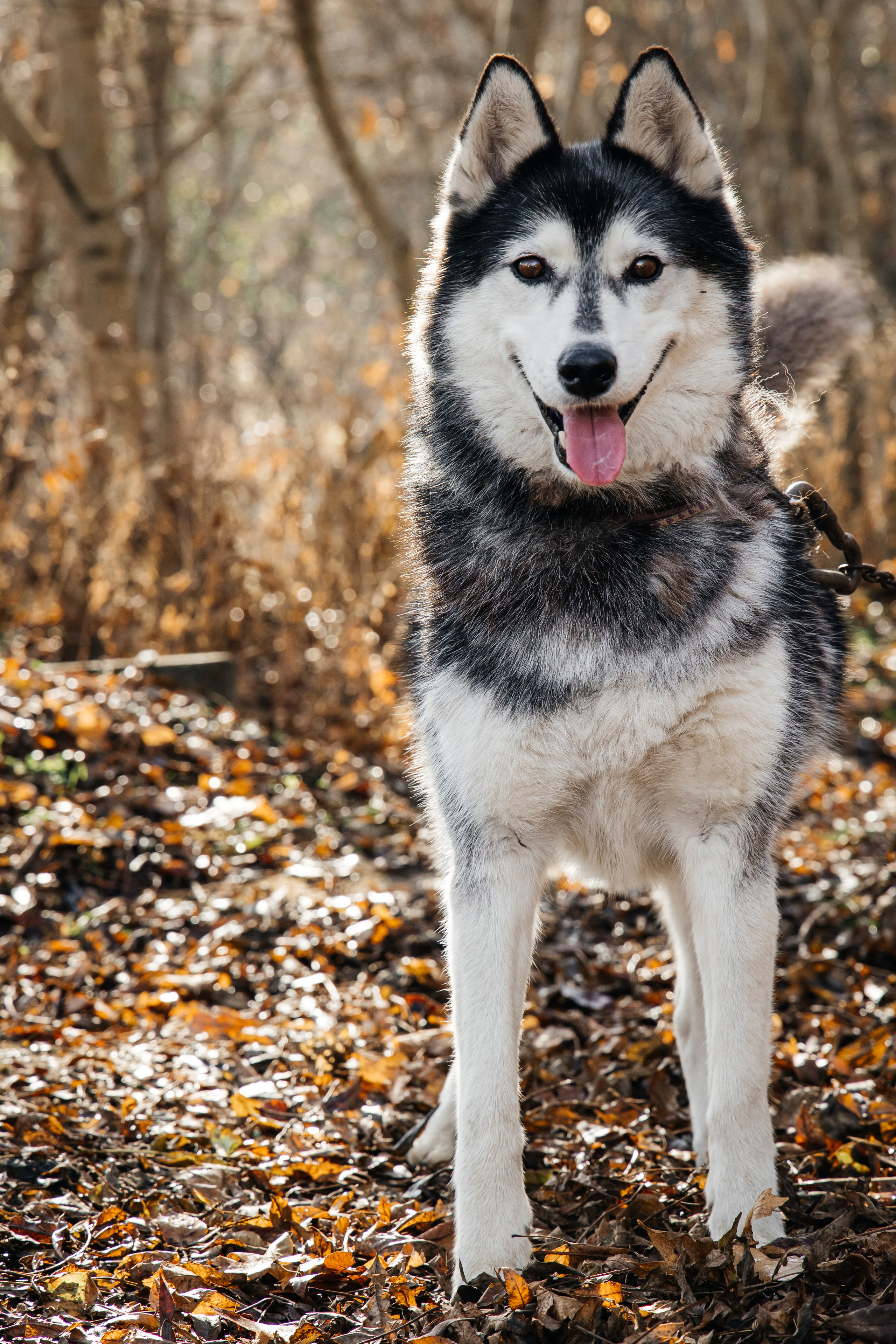 Антонина Савельева Фотограф Ставрополь