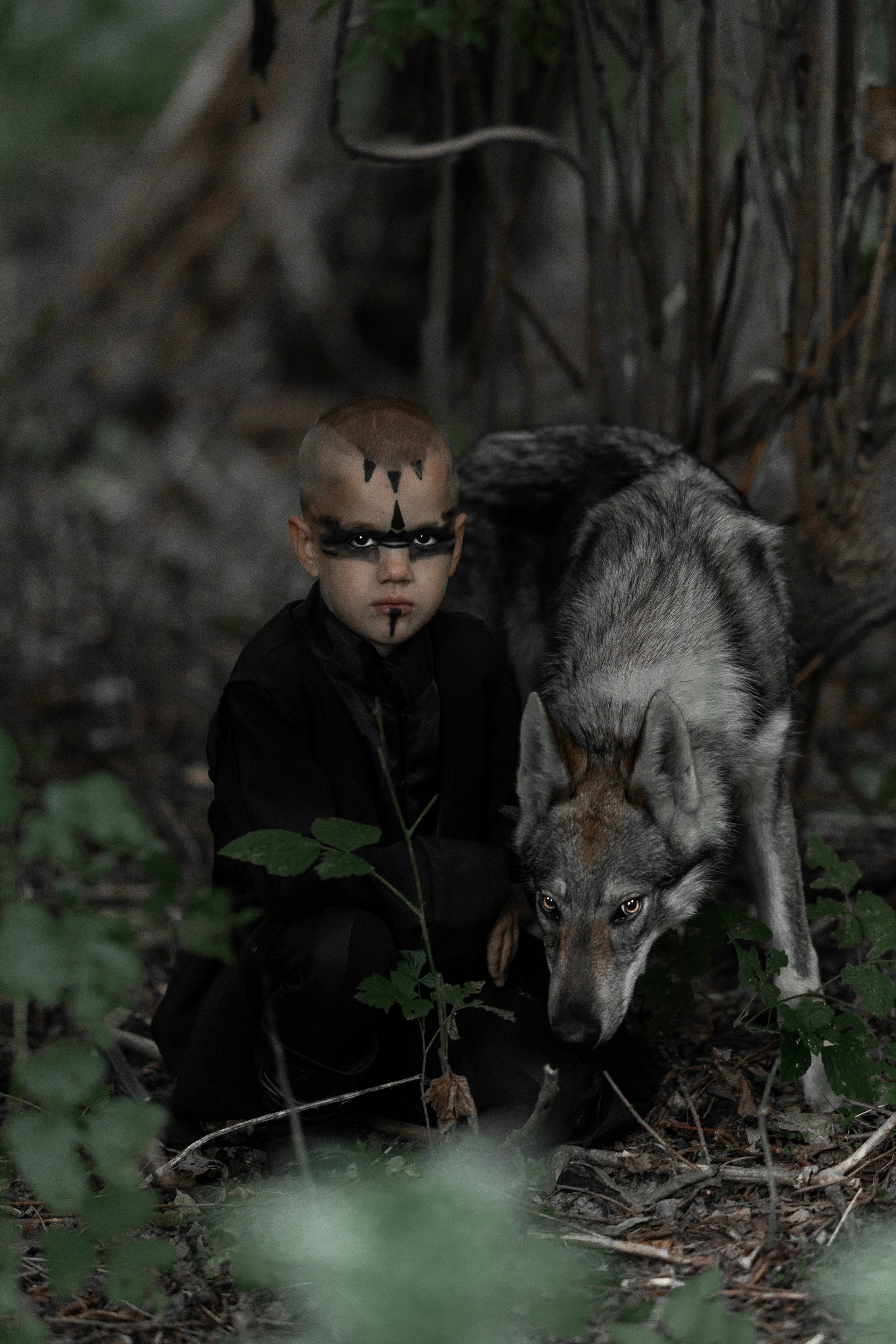 Съёмки с животными. ФОТОГРАФ АЛИСА КОНЕВА КБР