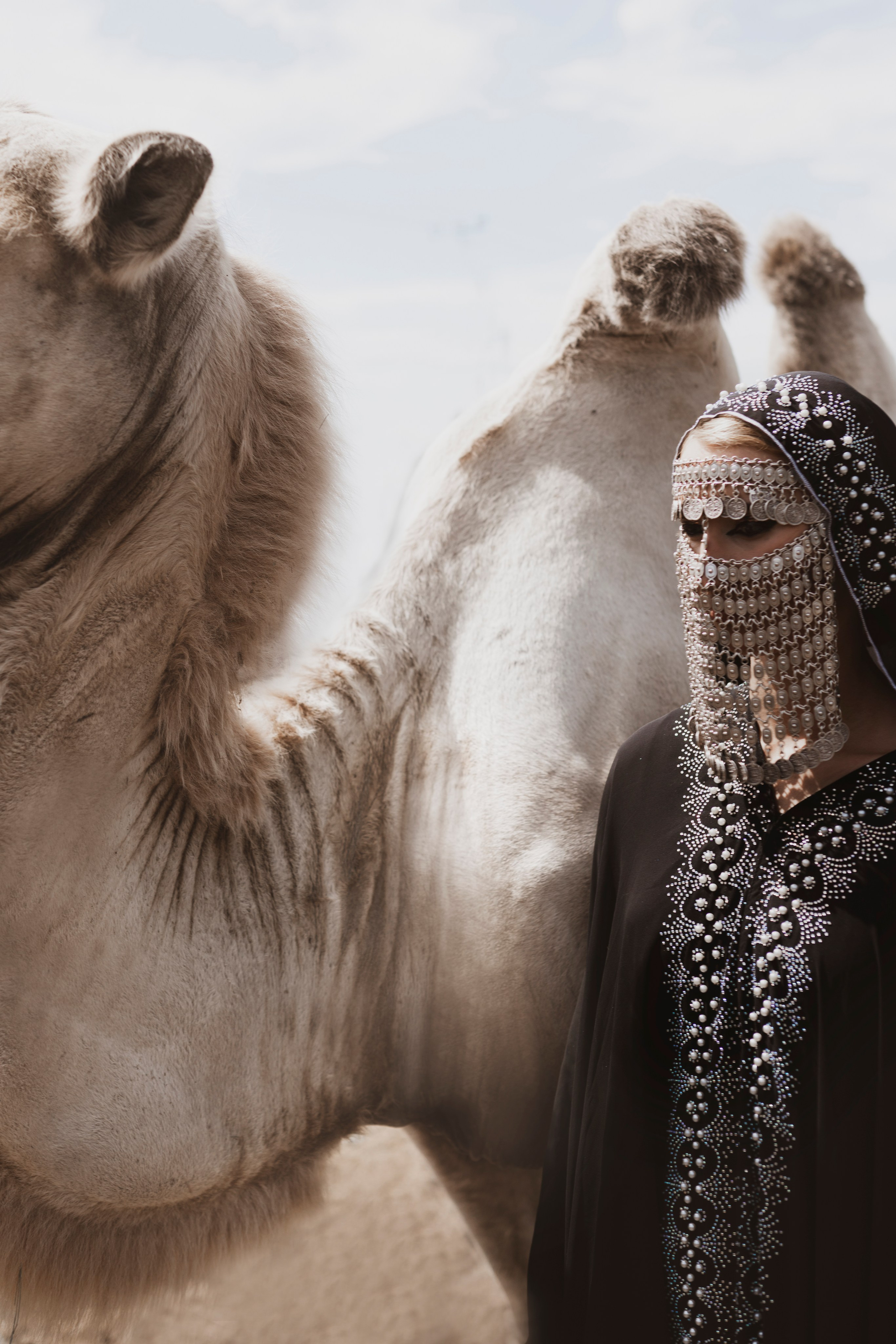 Съёмки с животными. ФОТОГРАФ АЛИСА КОНЕВА КБР