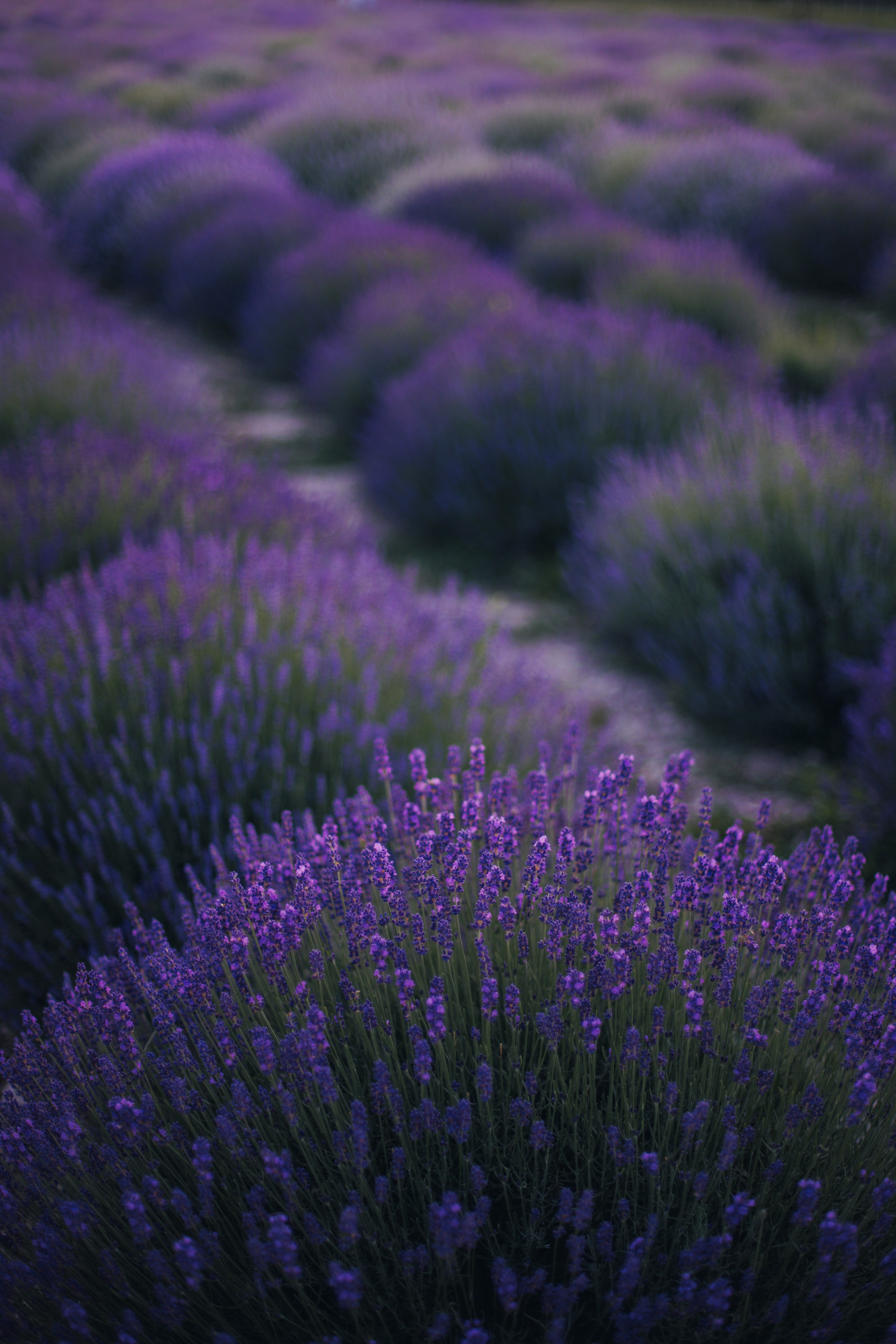 Контакты. Фотограф на Юге России