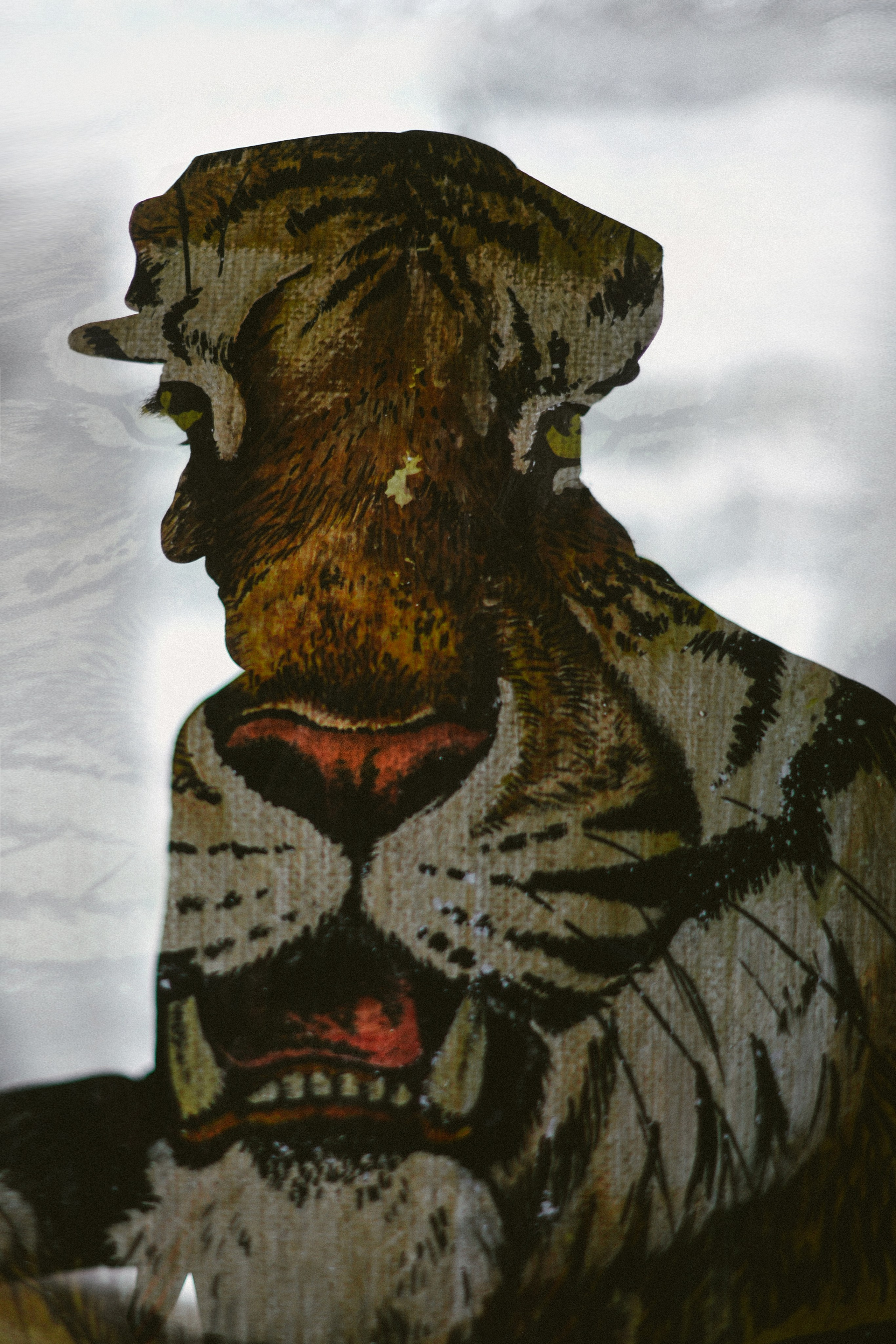 Тигролов. Дарья Пянзина | фотограф |междисциплинарная художница