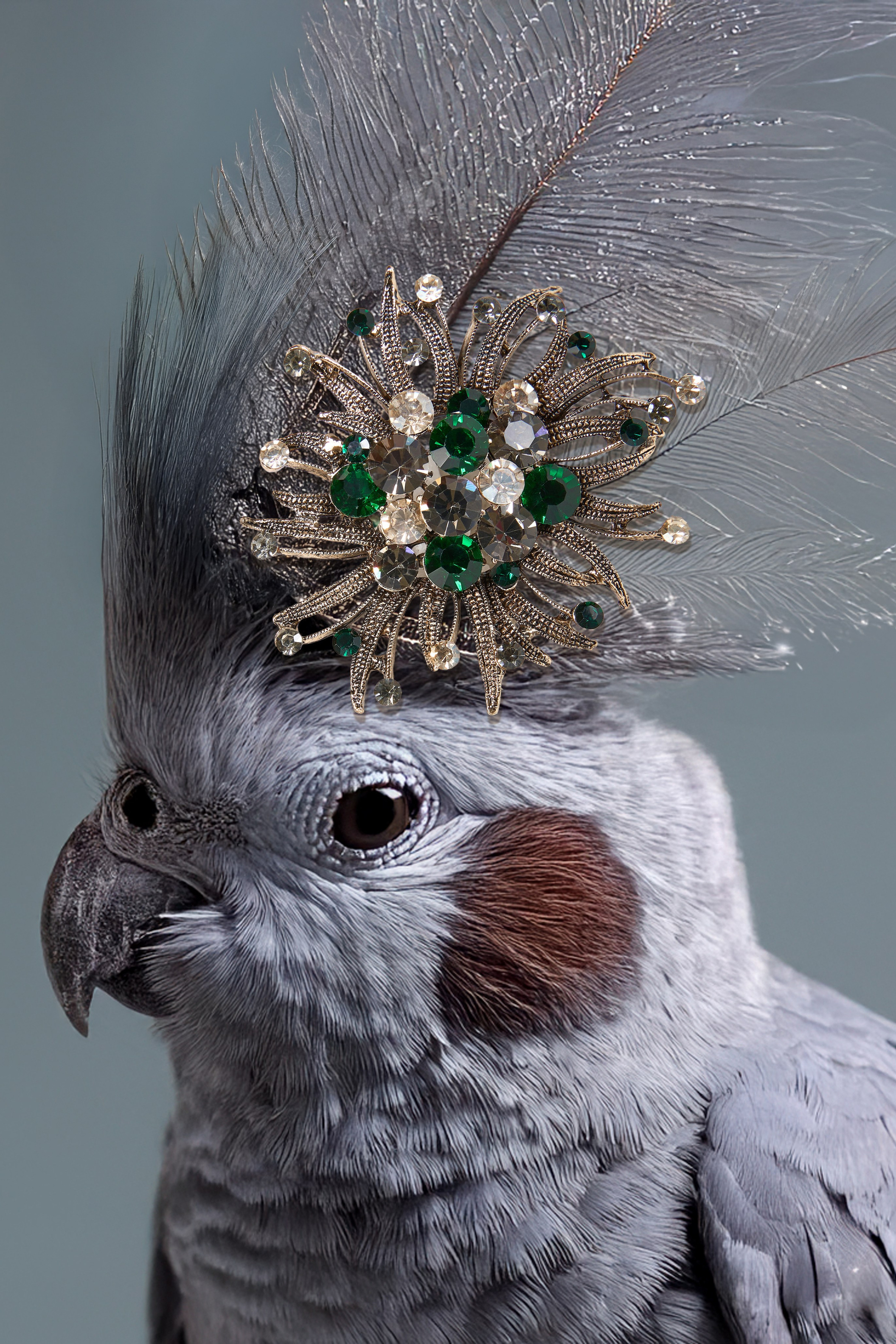 Стоимость съемки. Фотограф для маркетплейсов Wildberries и Ozon | Предметная и фуд-съёмка, инфографика и видео для брендов — Анастасия Супрунова