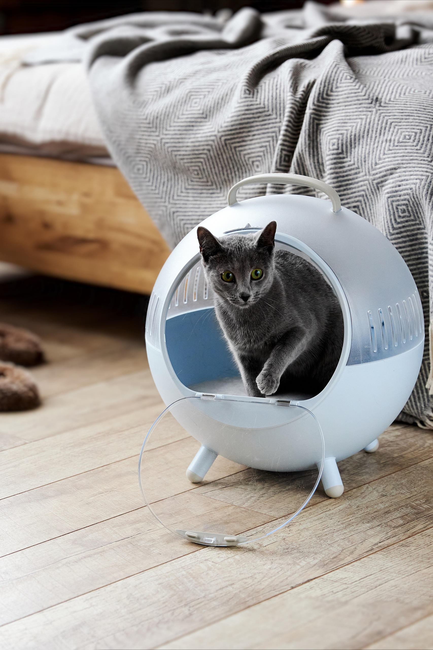 Фотограф для контента в Минске